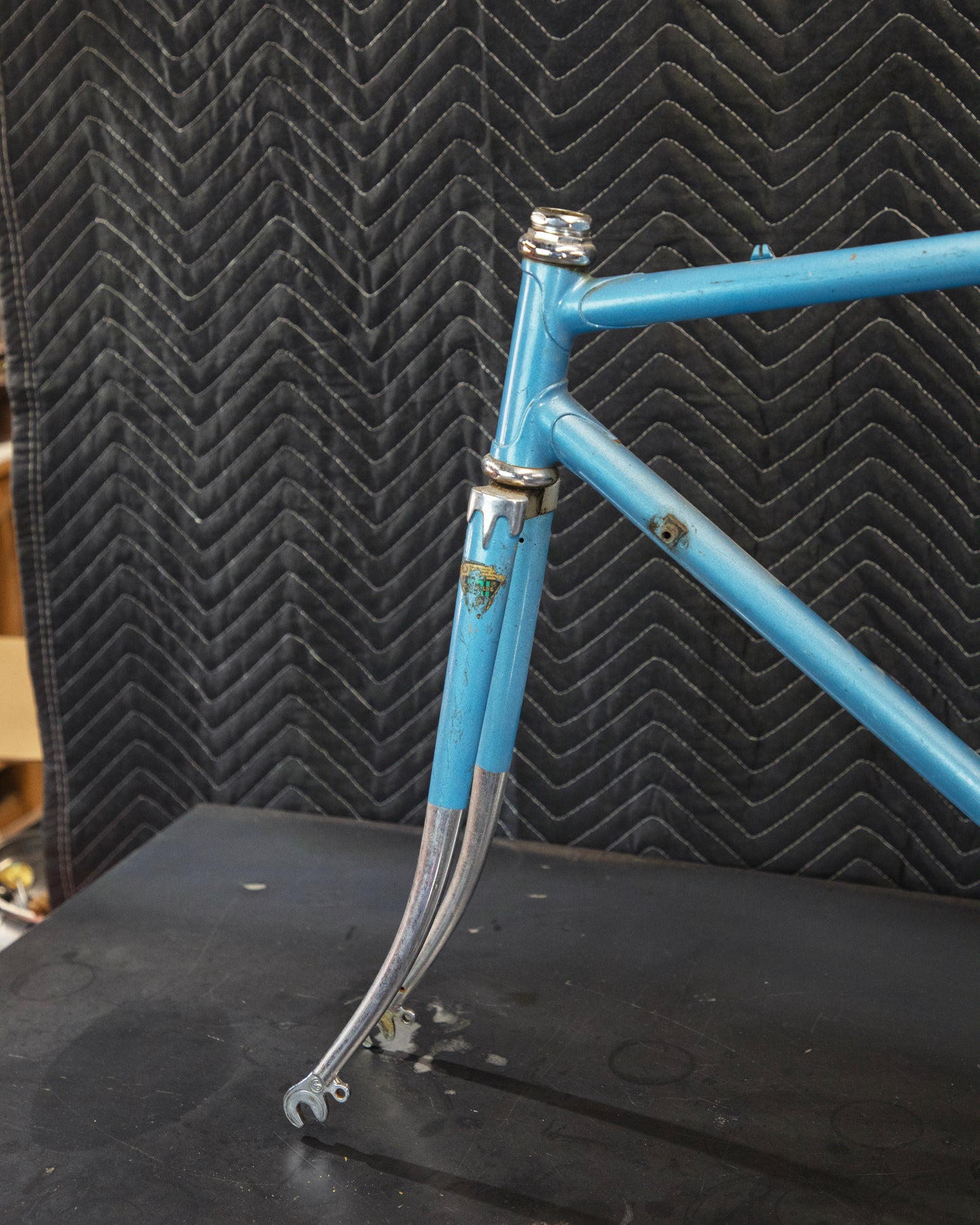 Juliette Reynolds 531