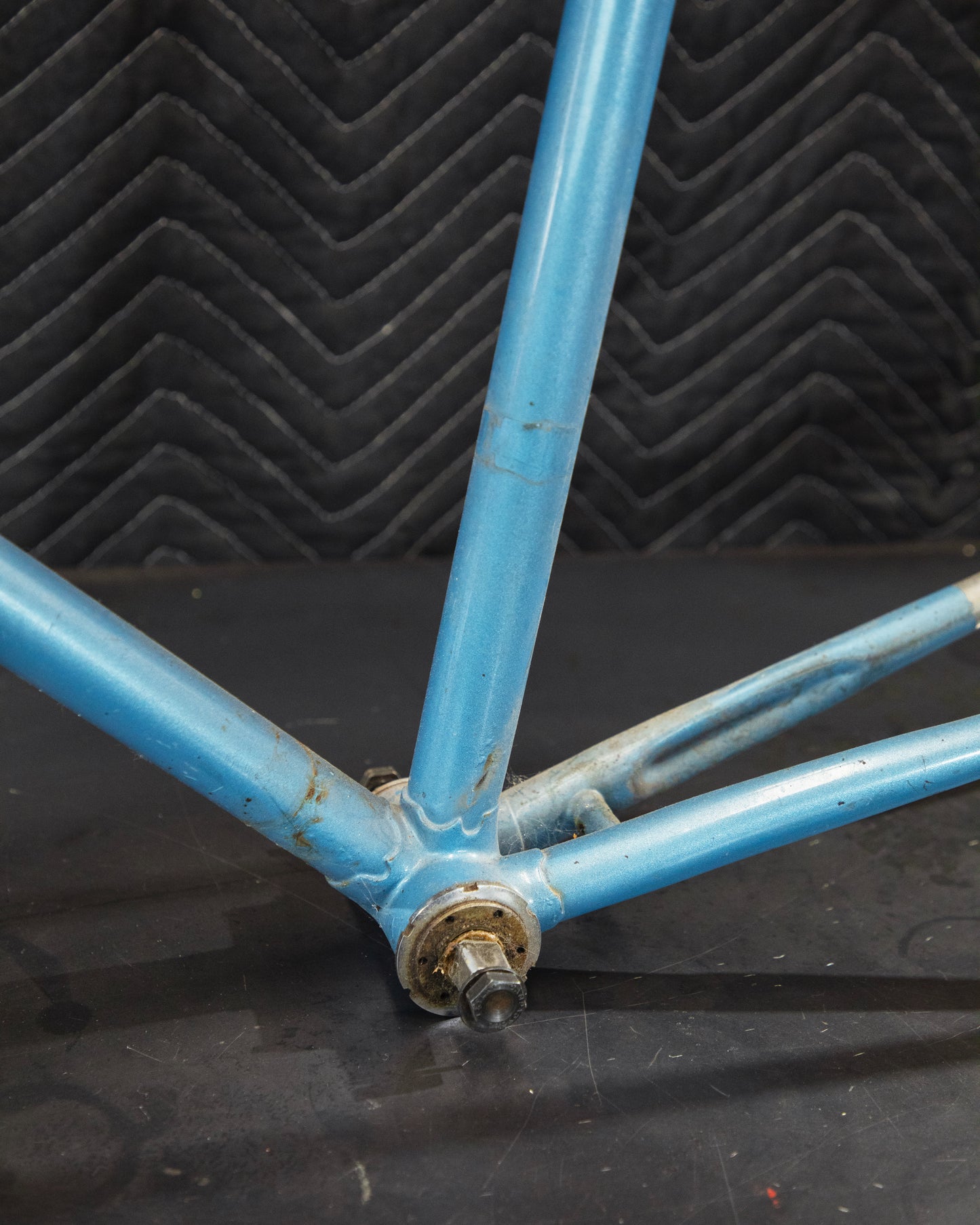 Juliette Reynolds 531