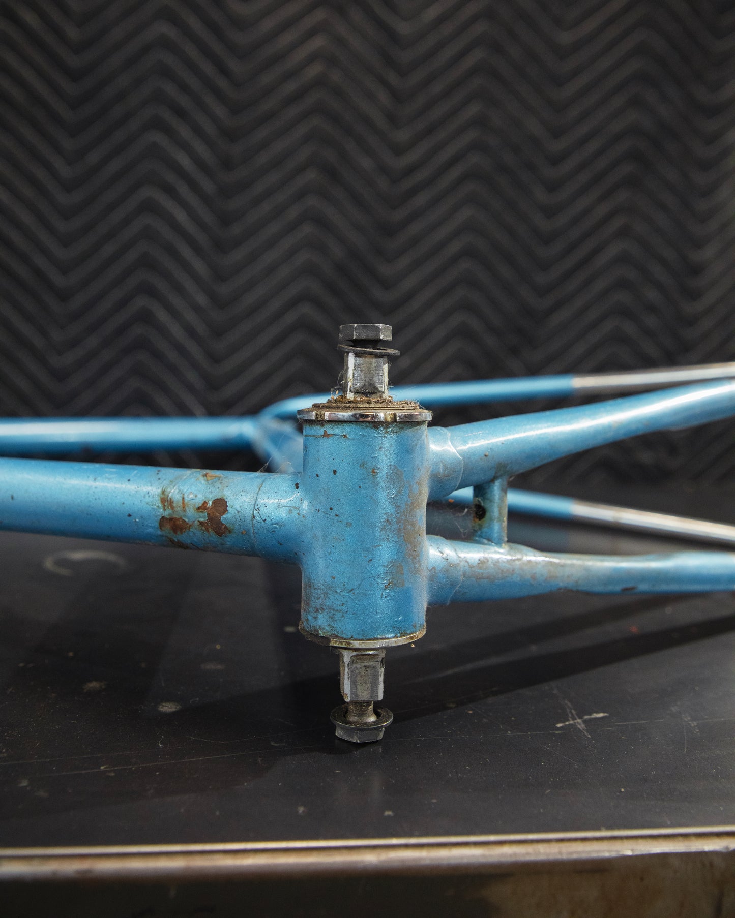 Juliette Reynolds 531