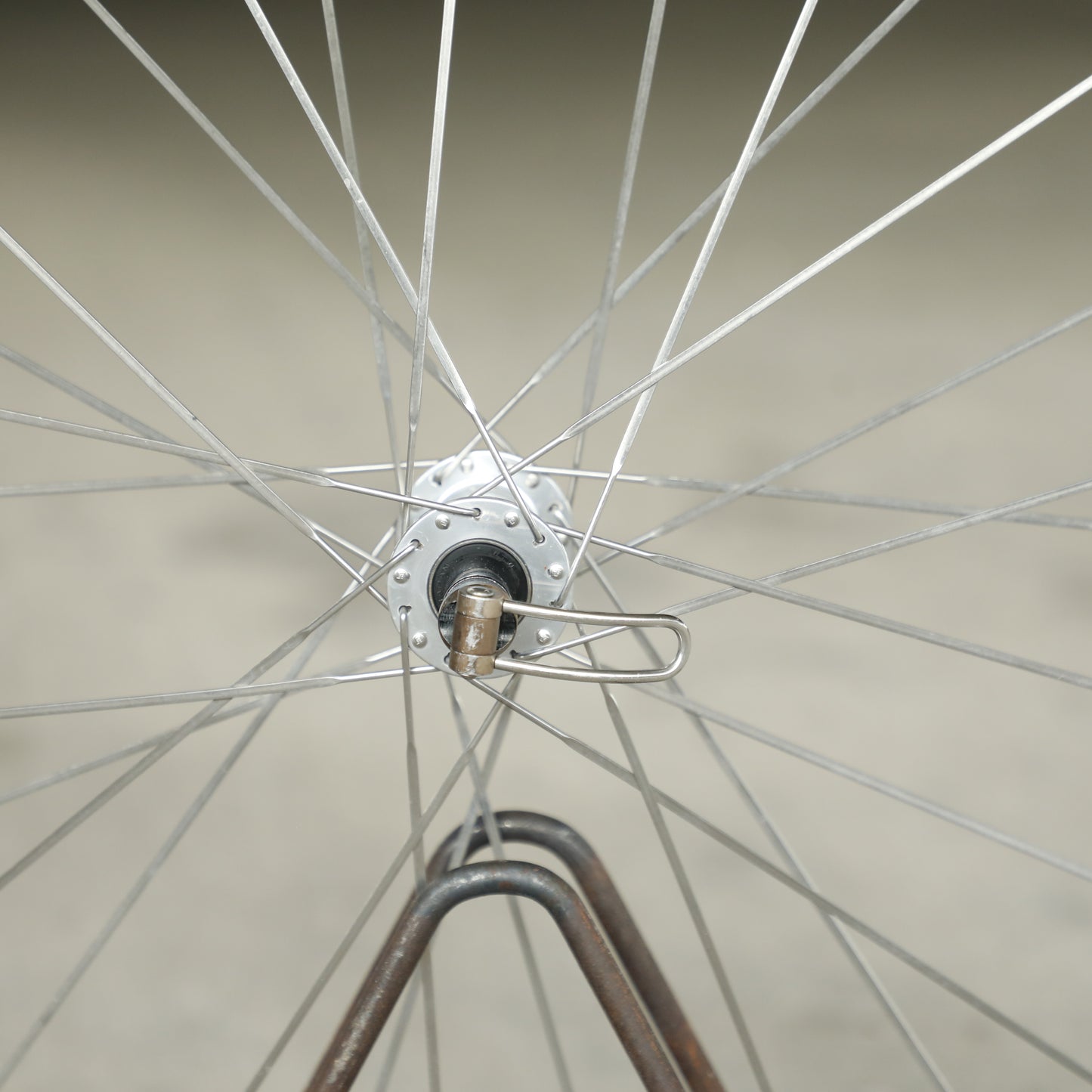 Campagnolo Omega Strada Hardox Wheelset