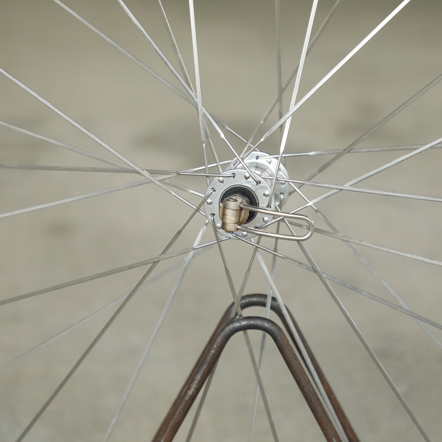 Campagnolo Omega Strada Hardox Wheelset