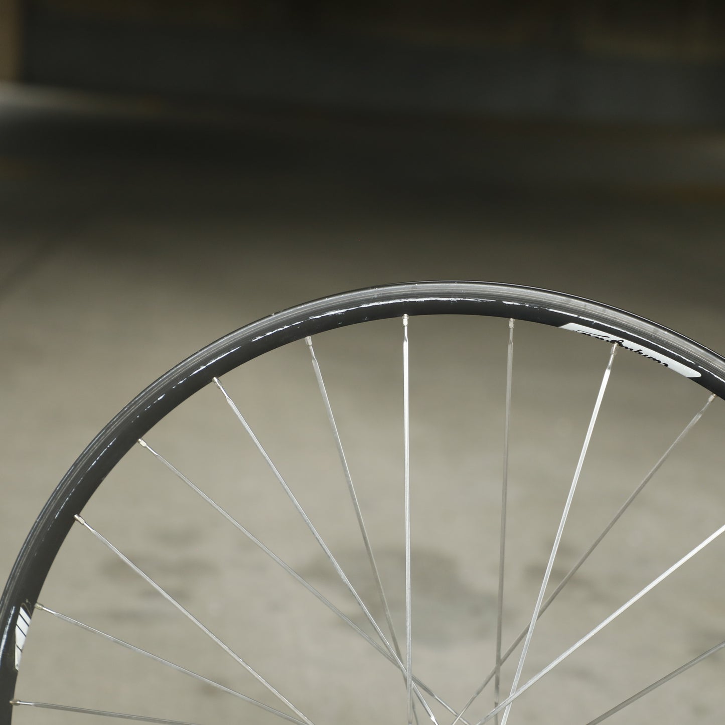 Campagnolo Omega Strada Hardox Wheelset