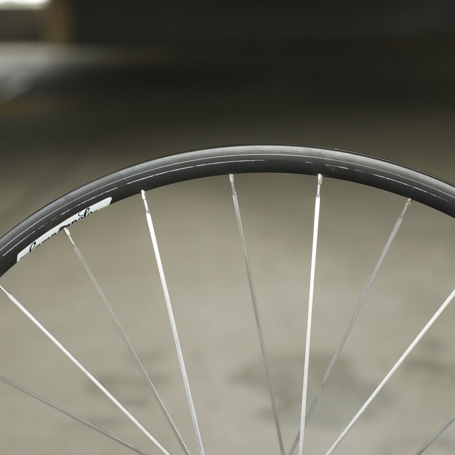 Campagnolo Omega Strada Hardox Wheelset