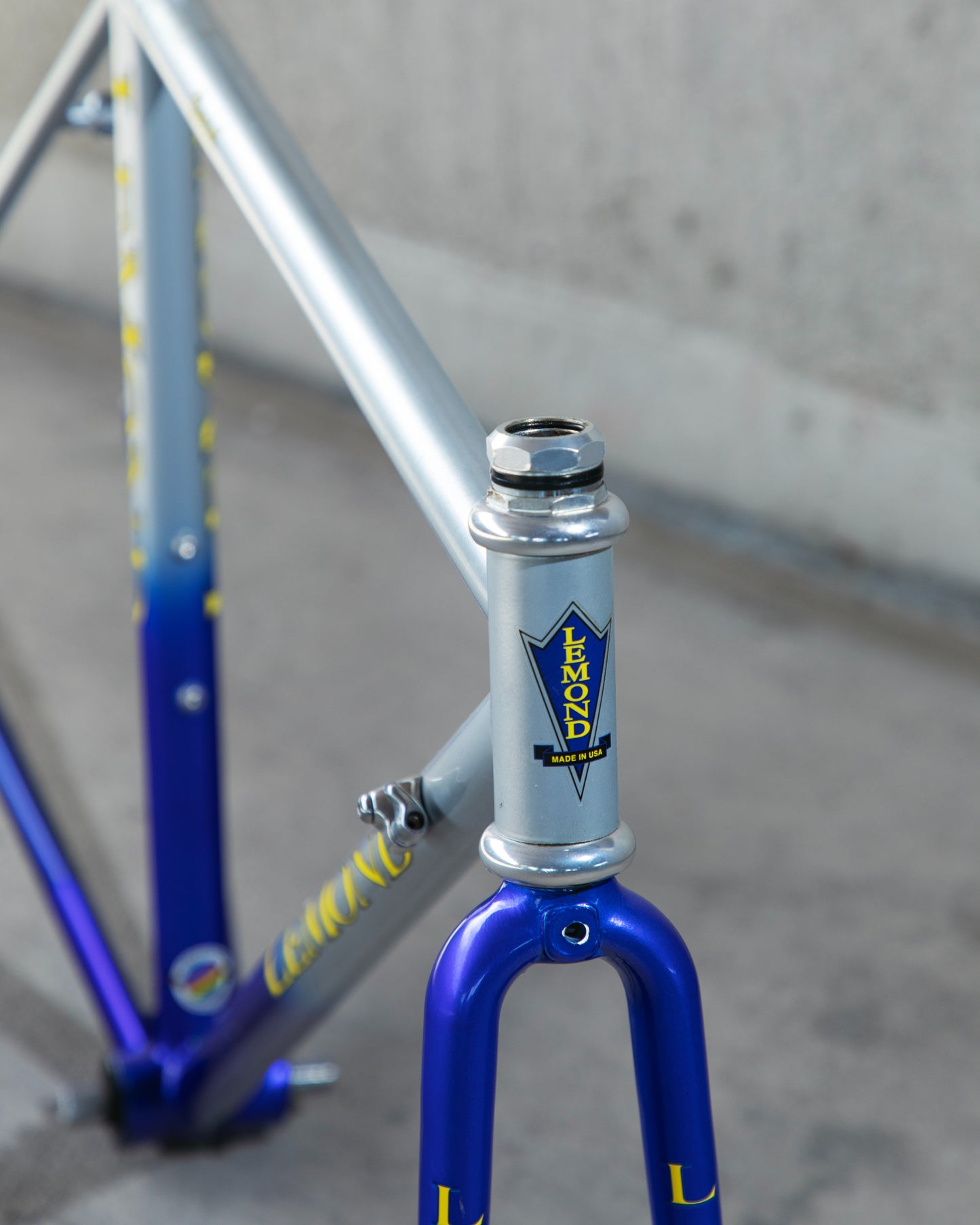 Lemond Zurich Signed by Greg Lemond