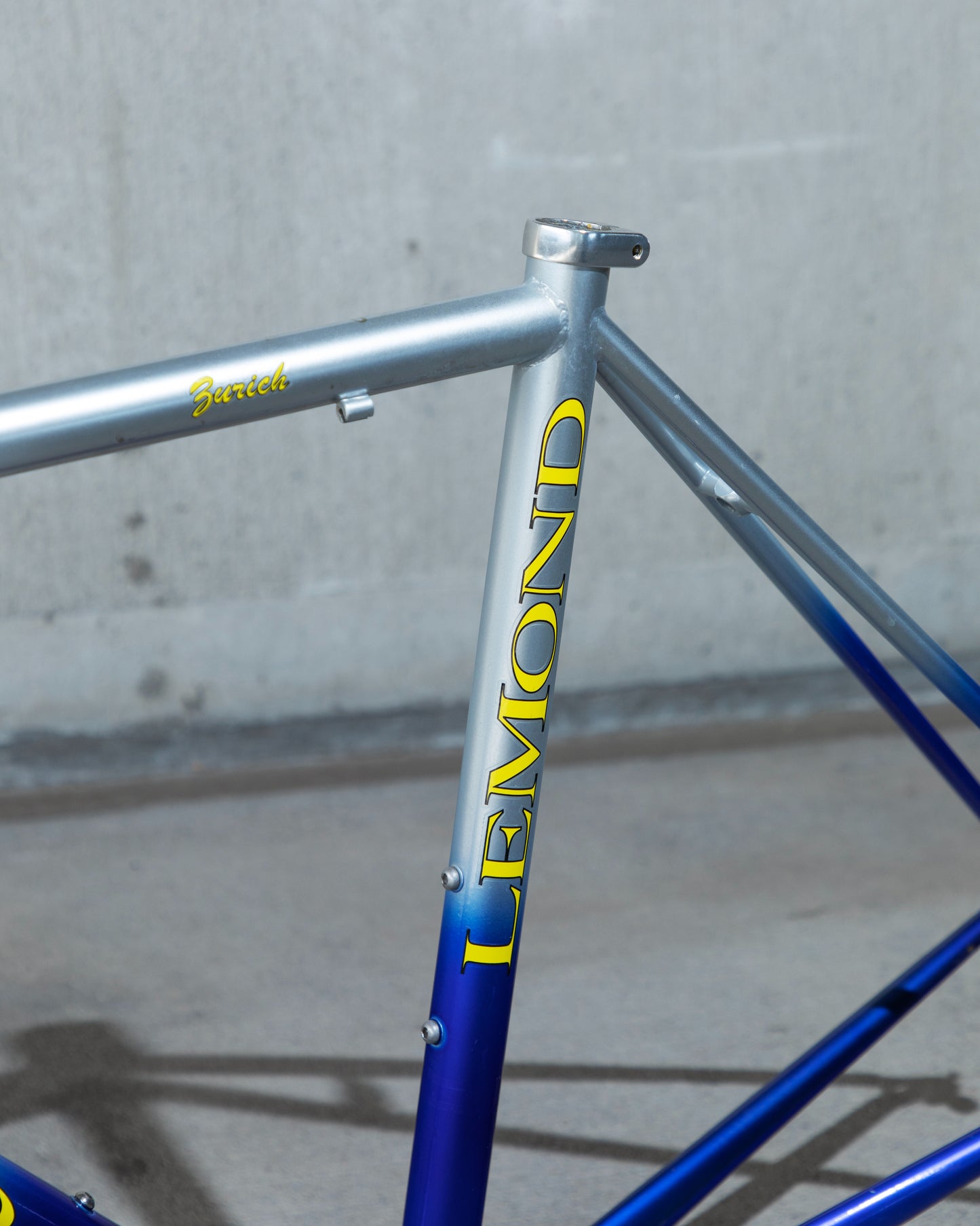 Lemond Zurich Signed by Greg Lemond