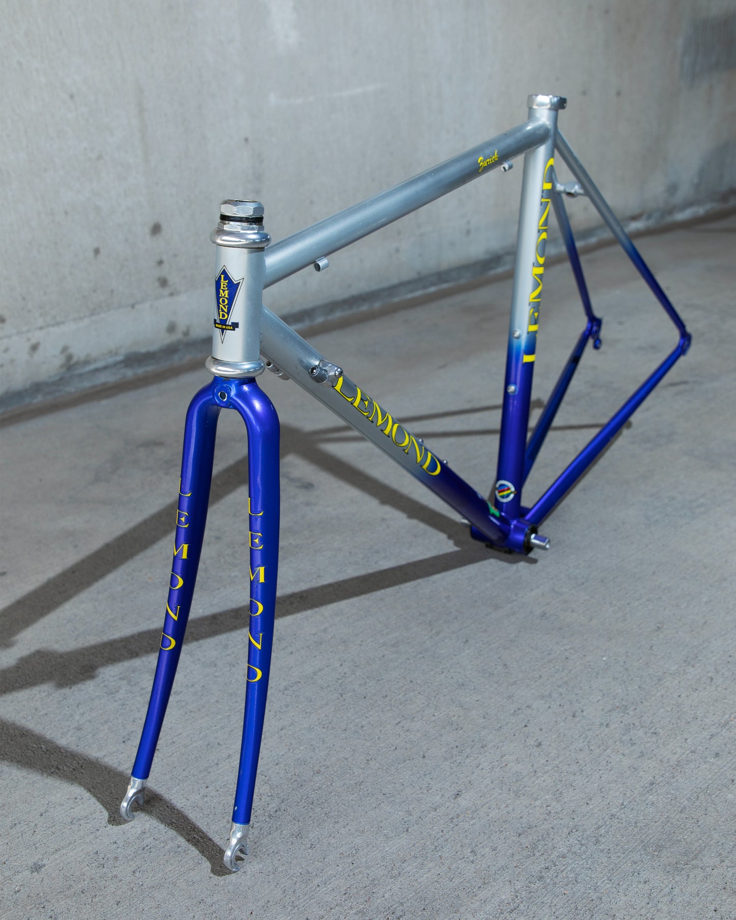 Lemond Zurich Signed by Greg Lemond