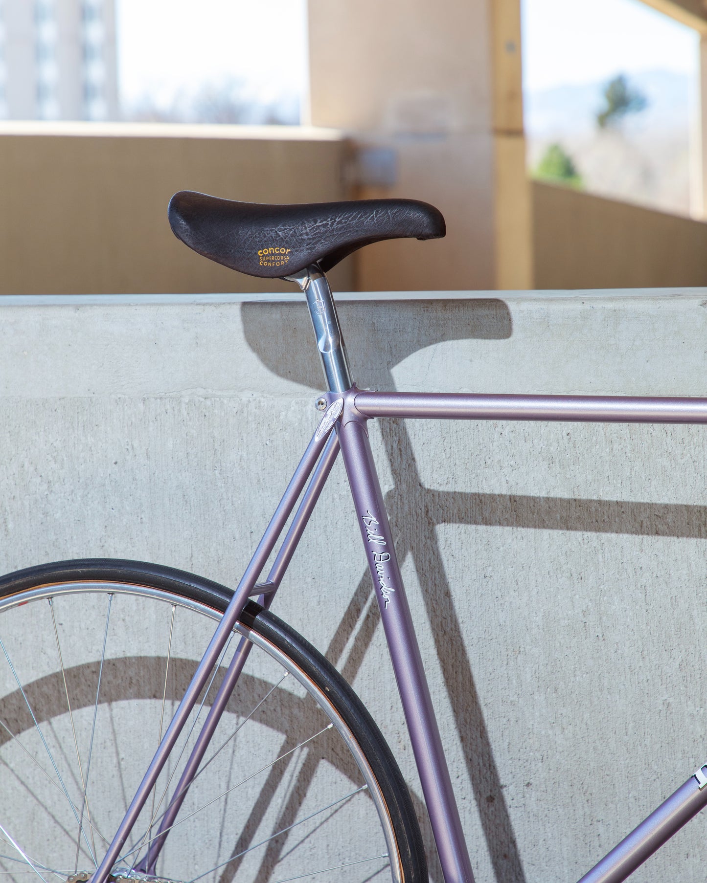 Davidson Track Bike