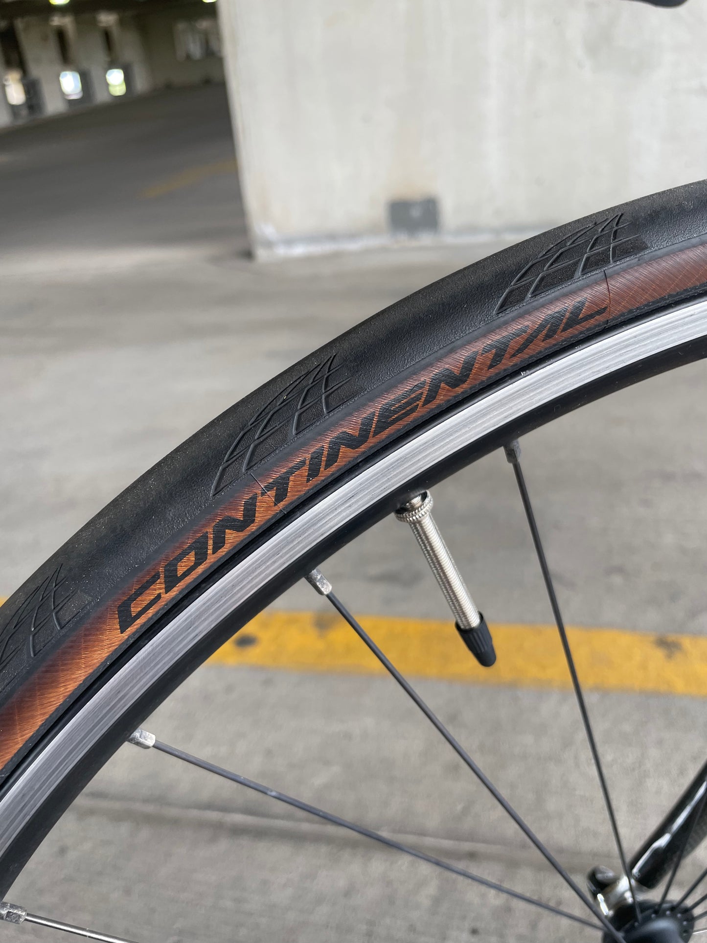 Mongoose Pro RX 10.9