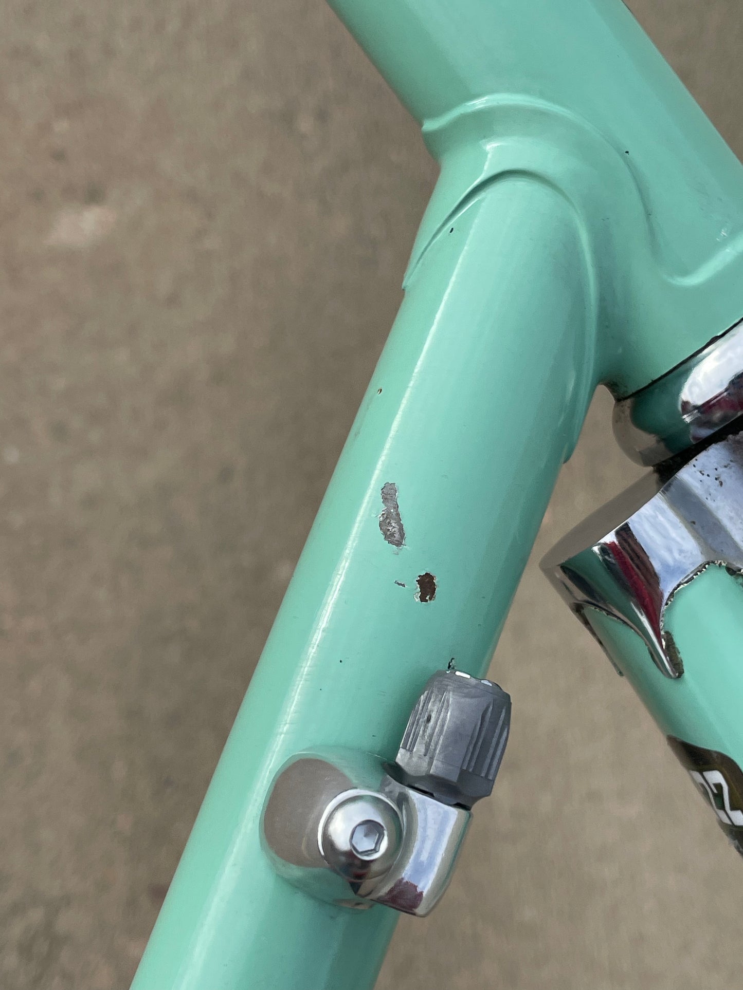 Bianchi Professional