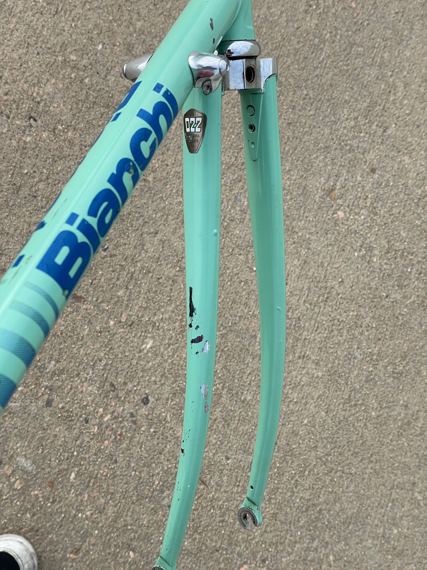 Bianchi Professional