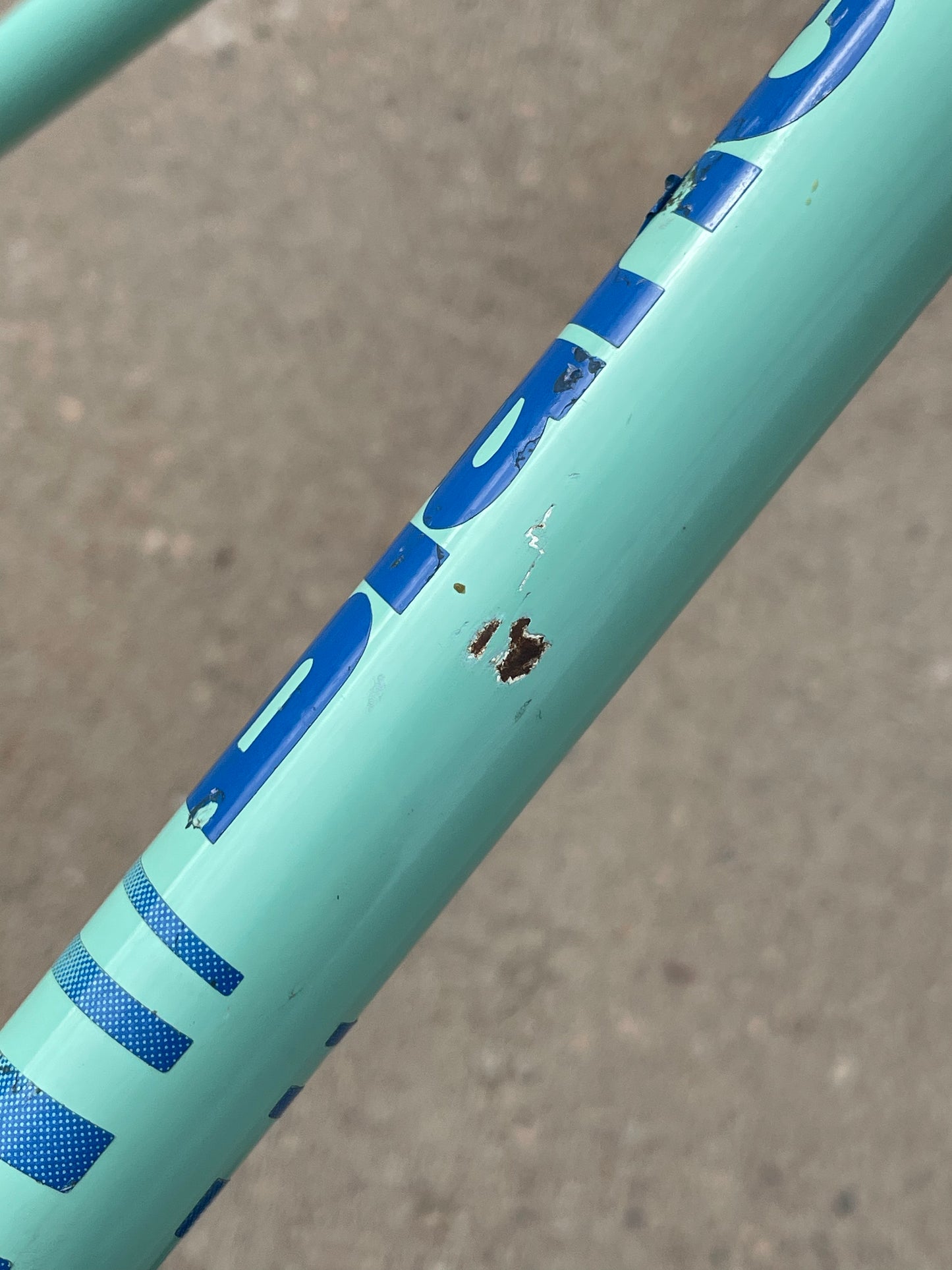 Bianchi Professional