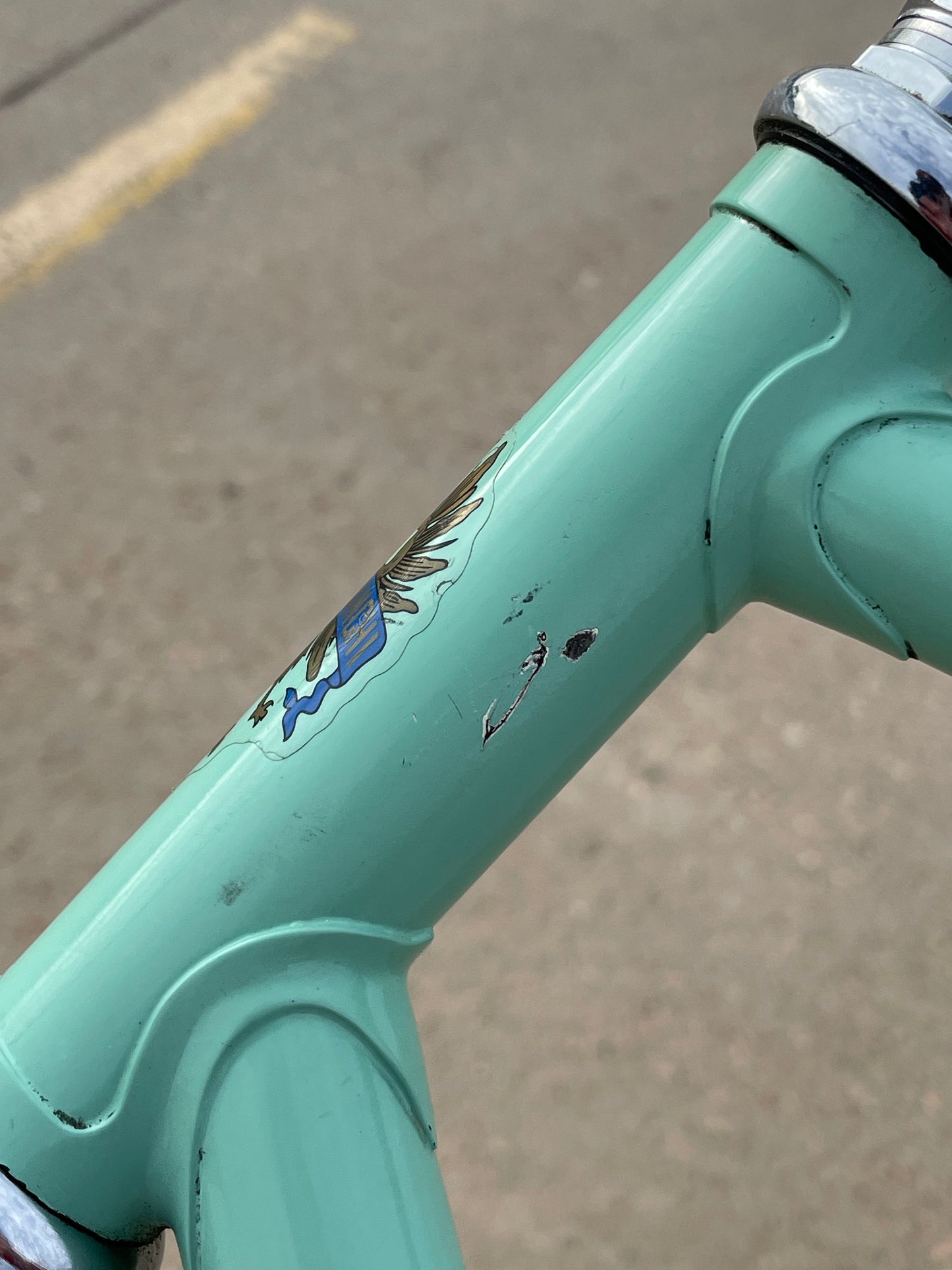 Bianchi Professional