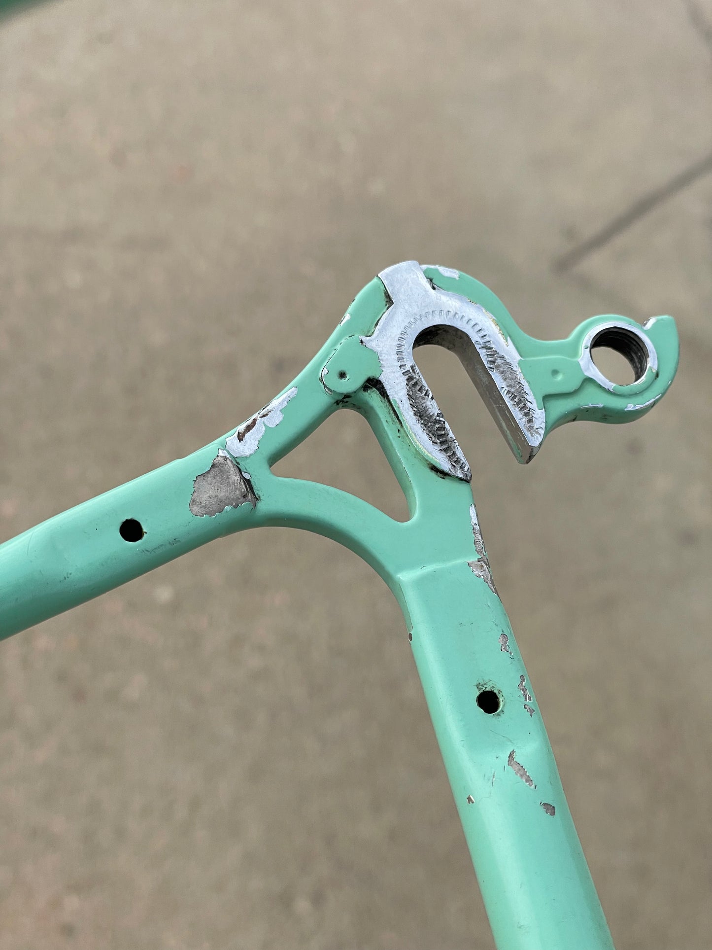 Bianchi Professional