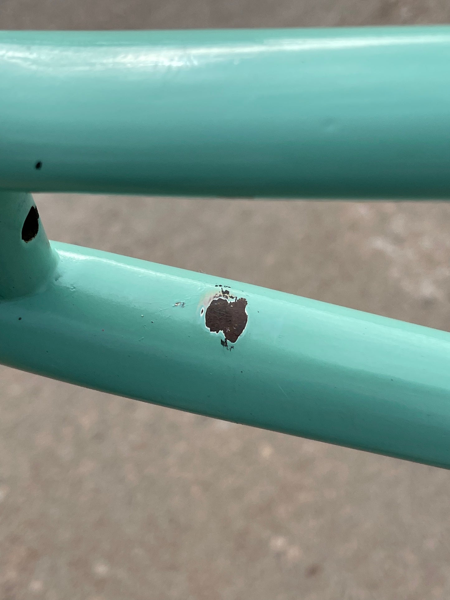 Bianchi Professional