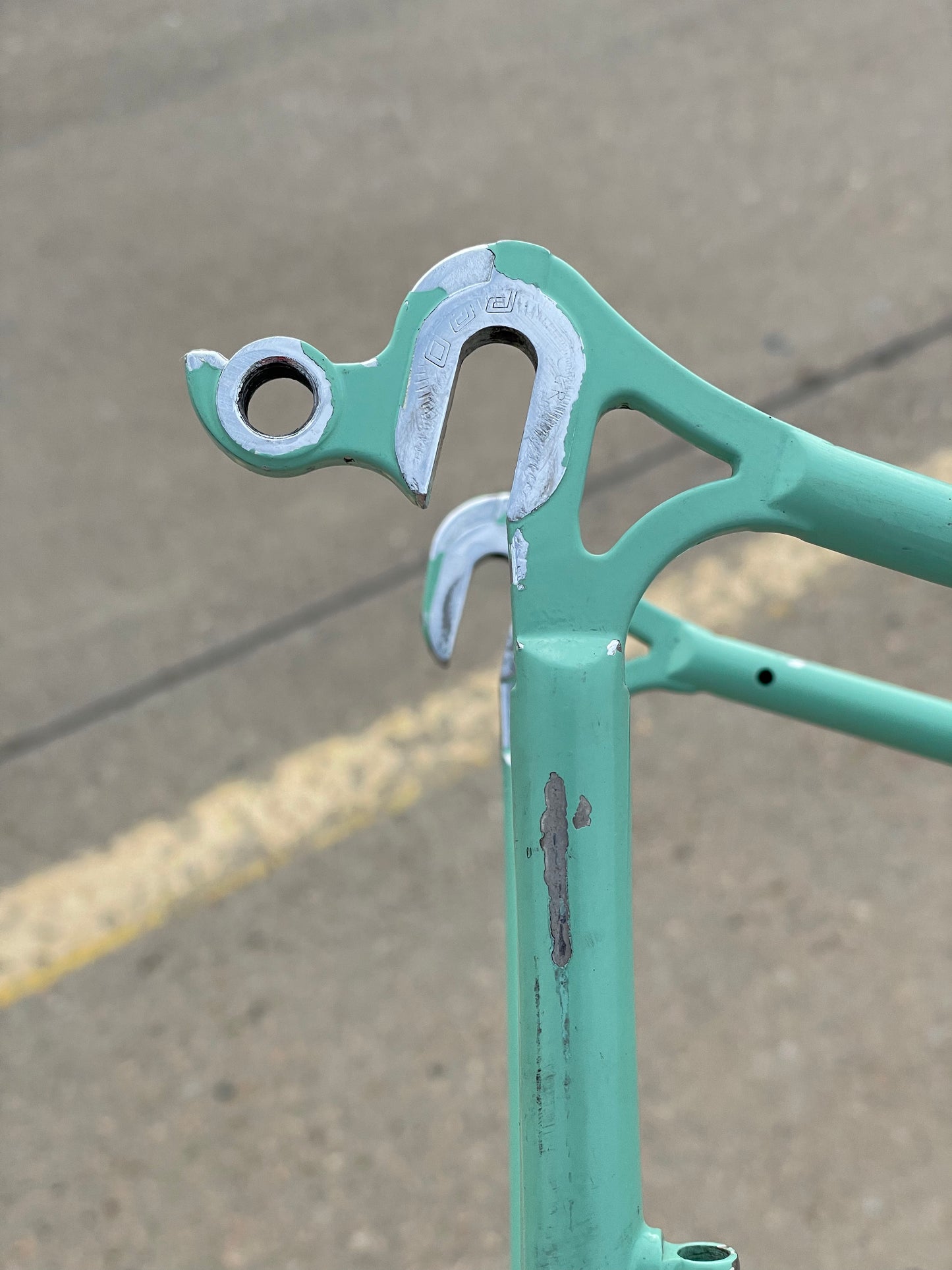 Bianchi Professional