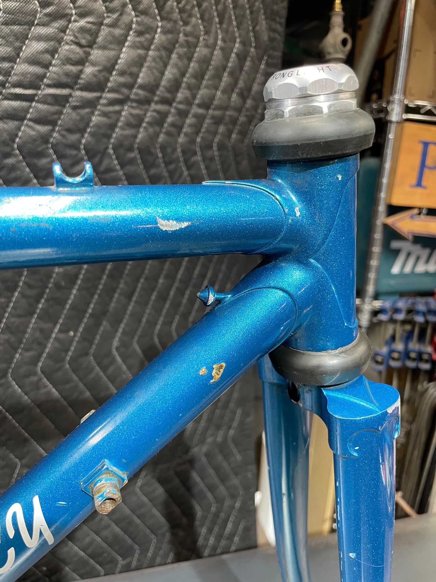 Bradley Reynolds 531