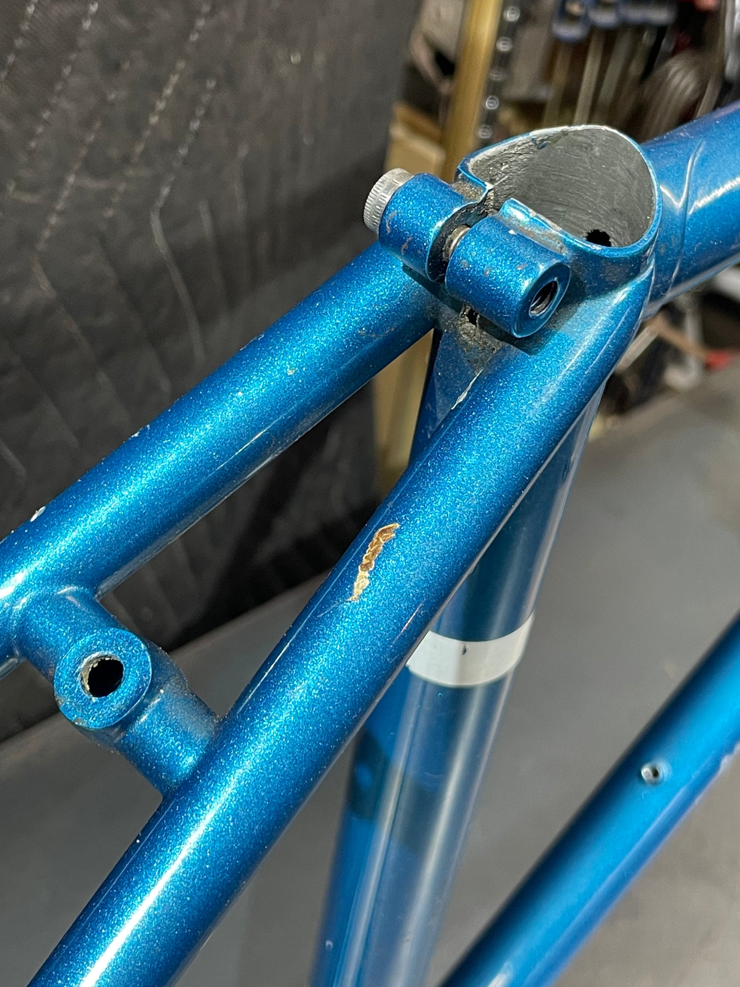 Bradley Reynolds 531