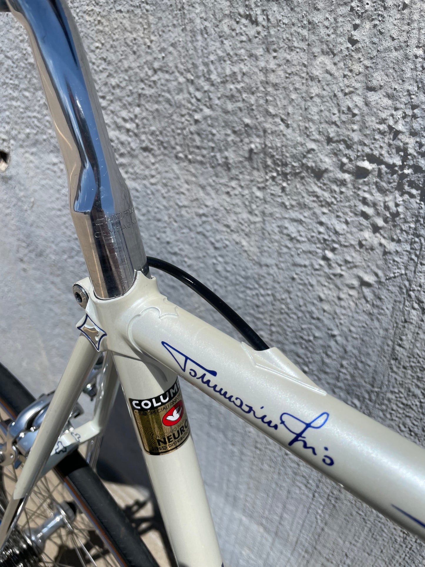 Tommasini Sintesi