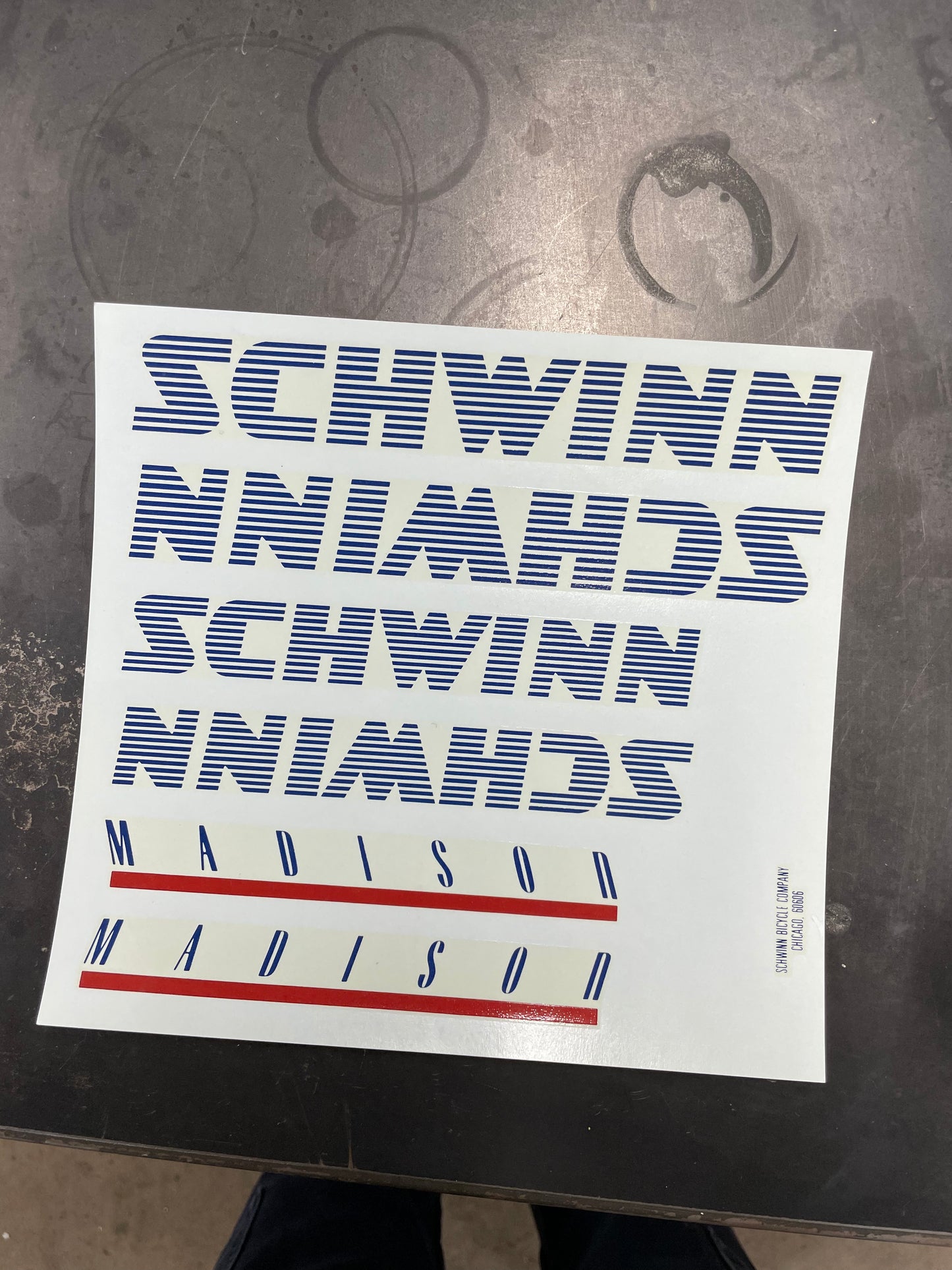 Schwinn Madison Decals