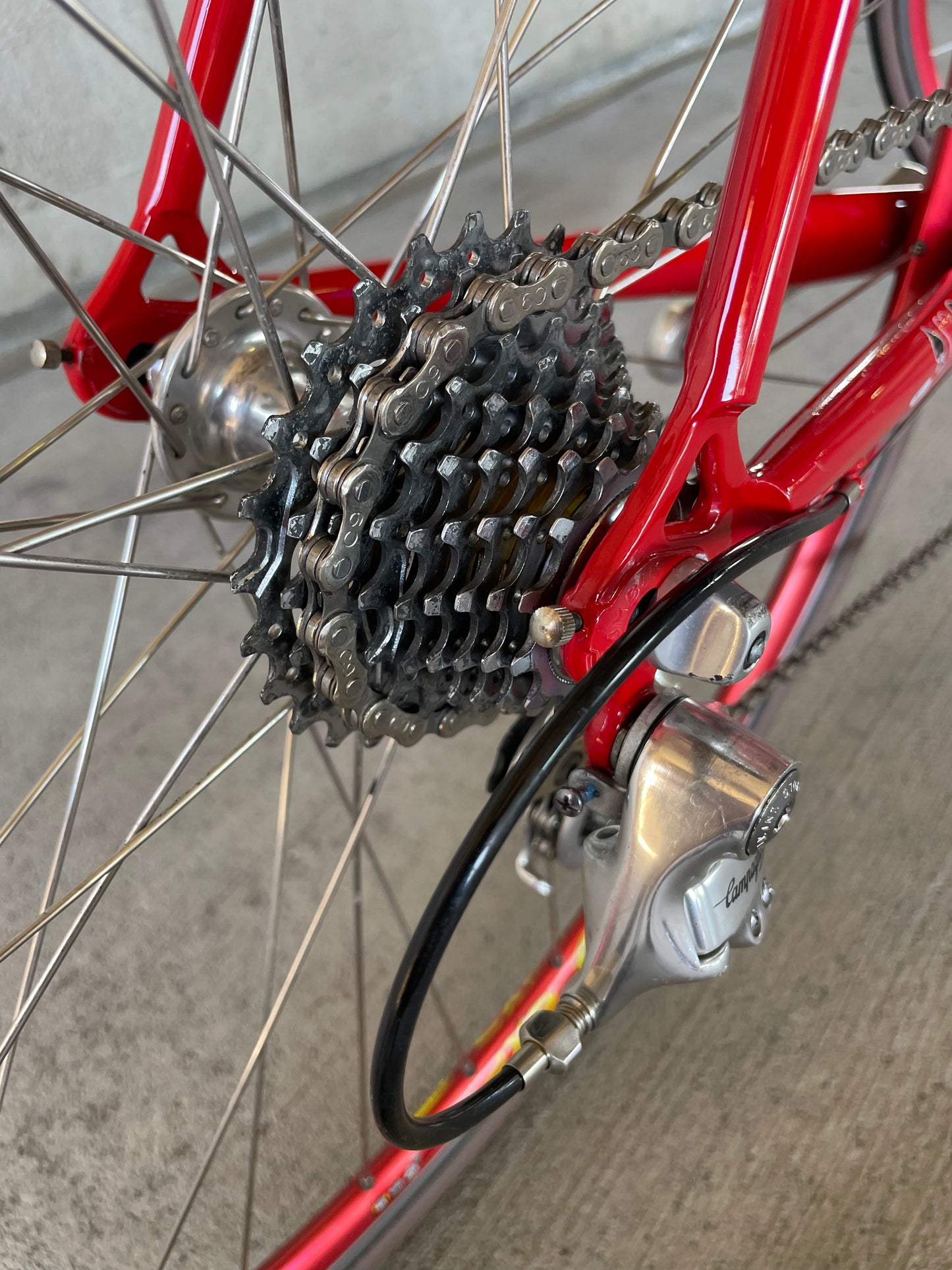 Quattro Assi