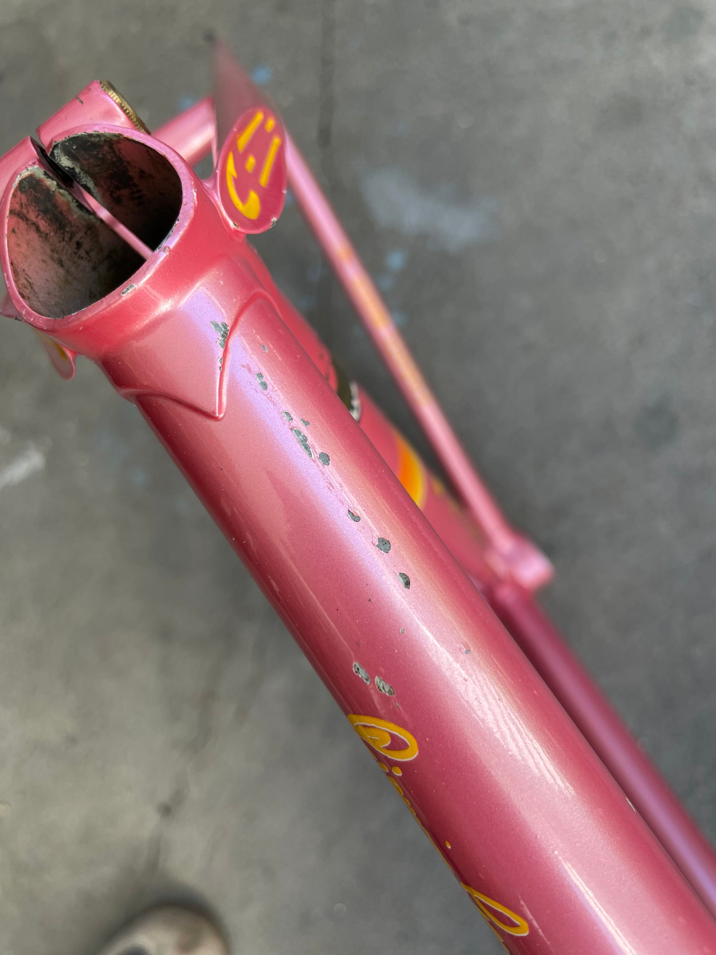 Casati Monza Gold Line Track