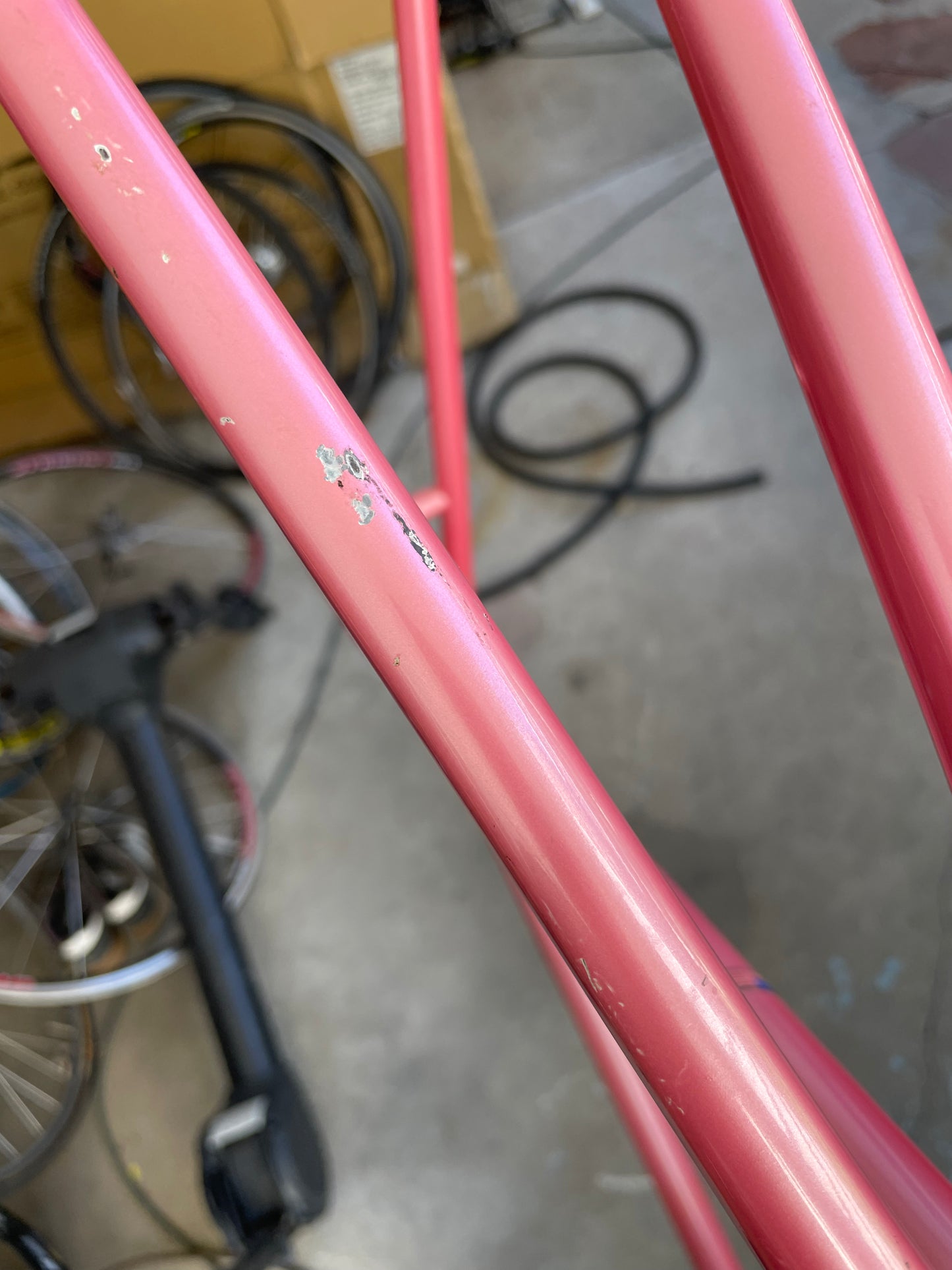 Casati Monza Gold Line Track