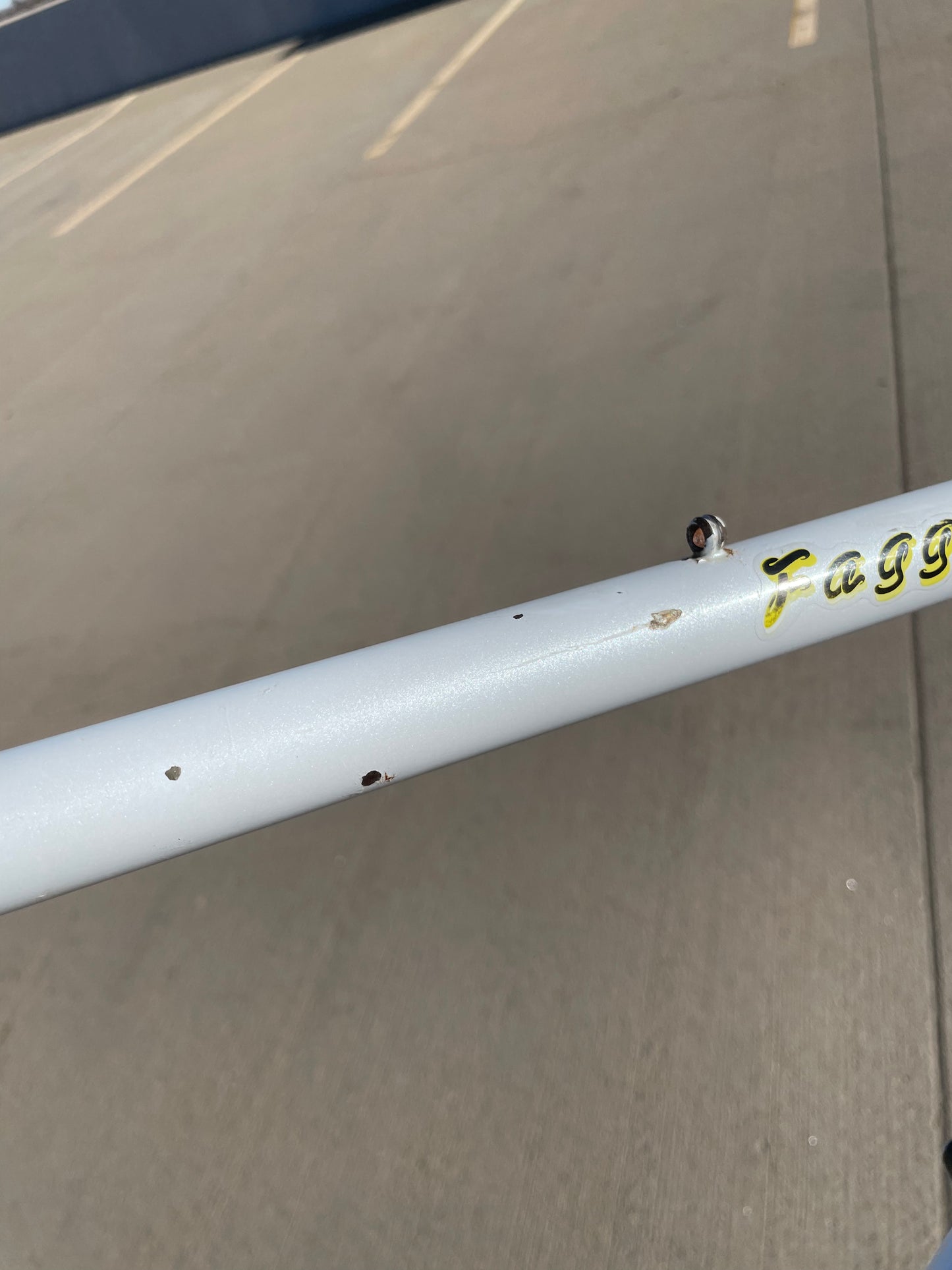 Faggin Campione del Mondo