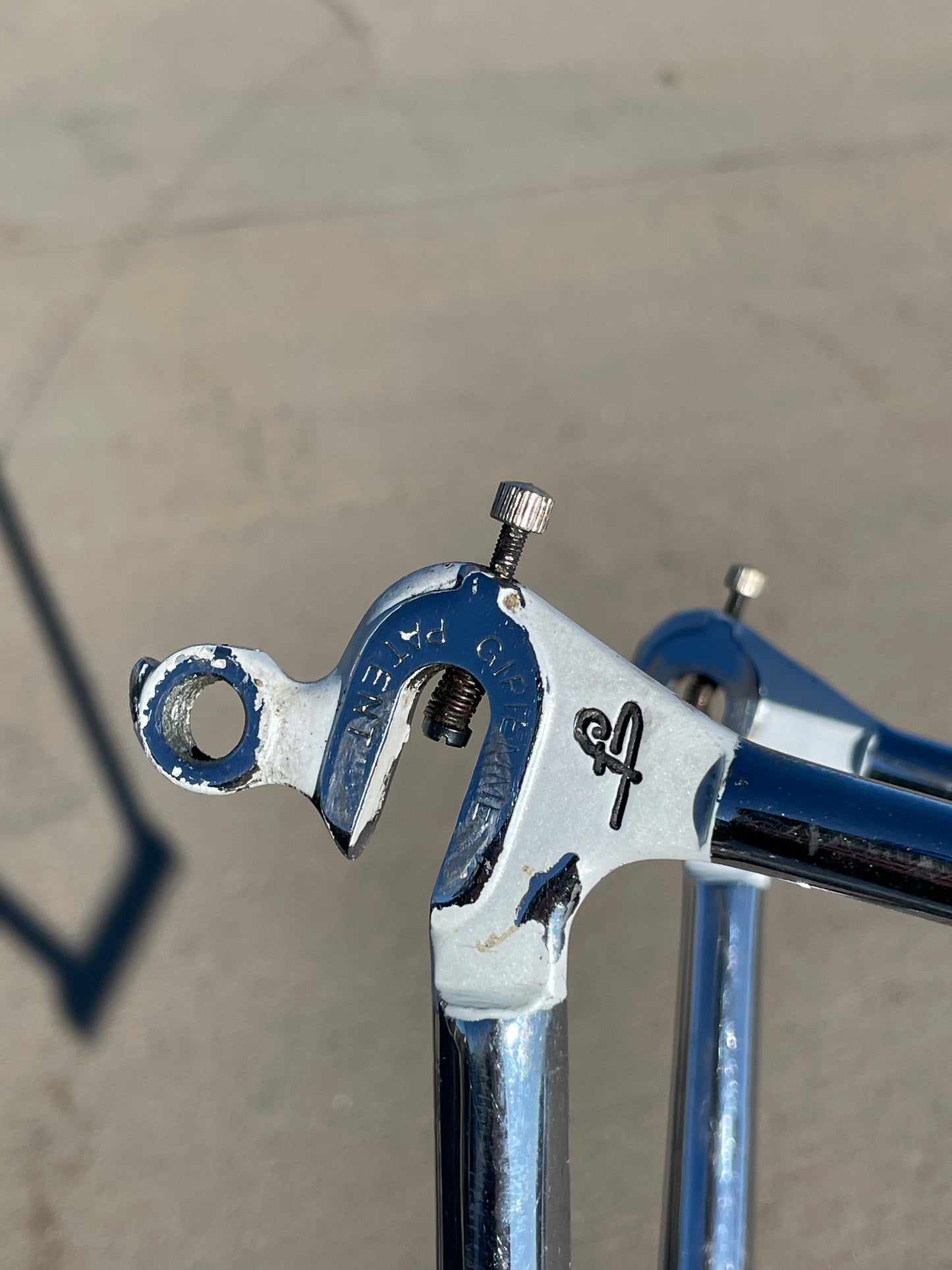 Faggin Campione del Mondo