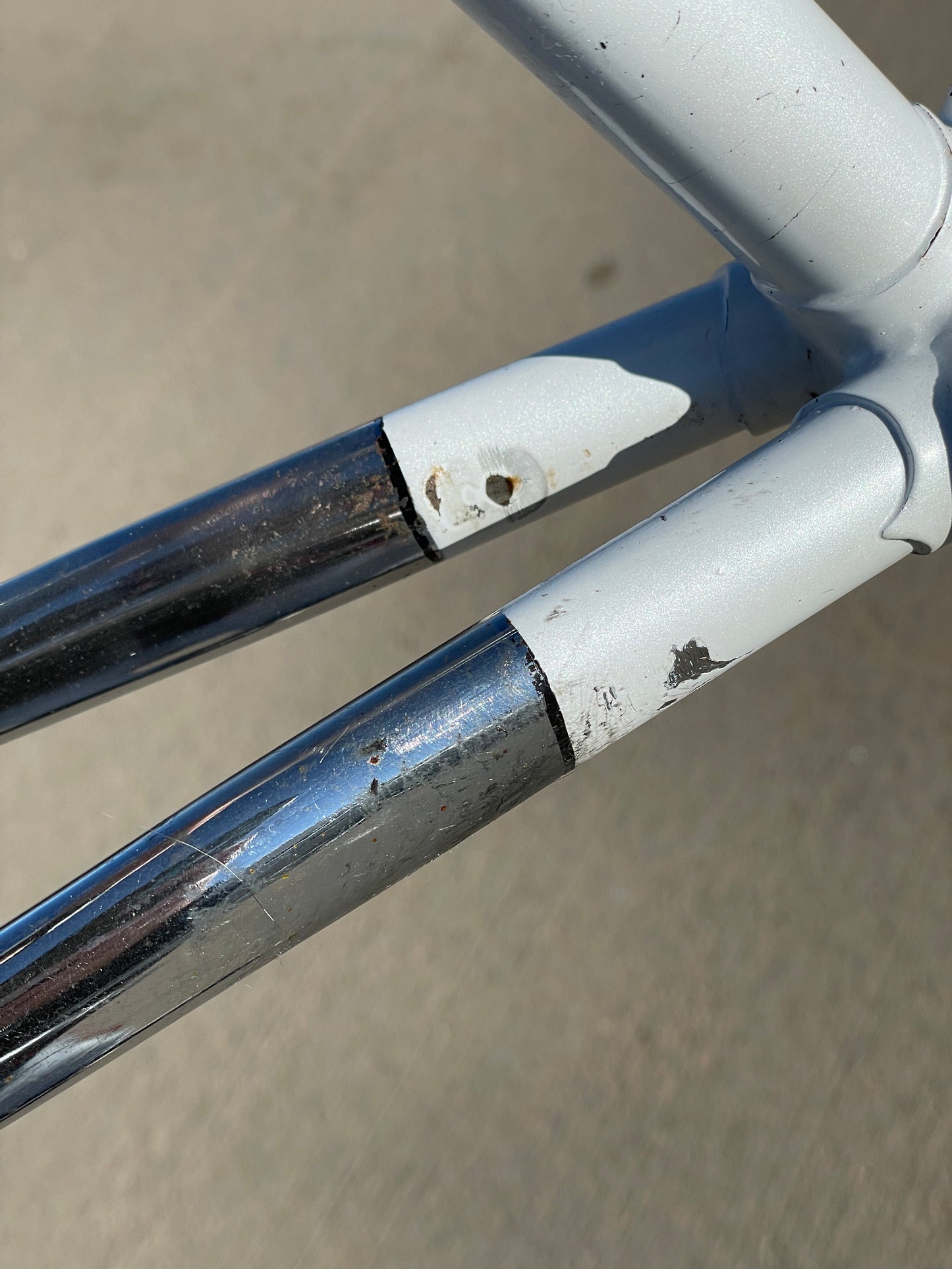 Faggin Campione del Mondo