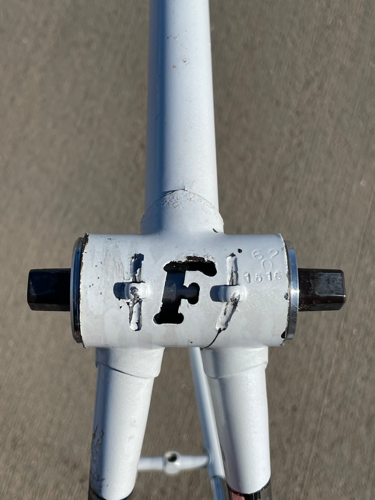 Faggin Campione del Mondo