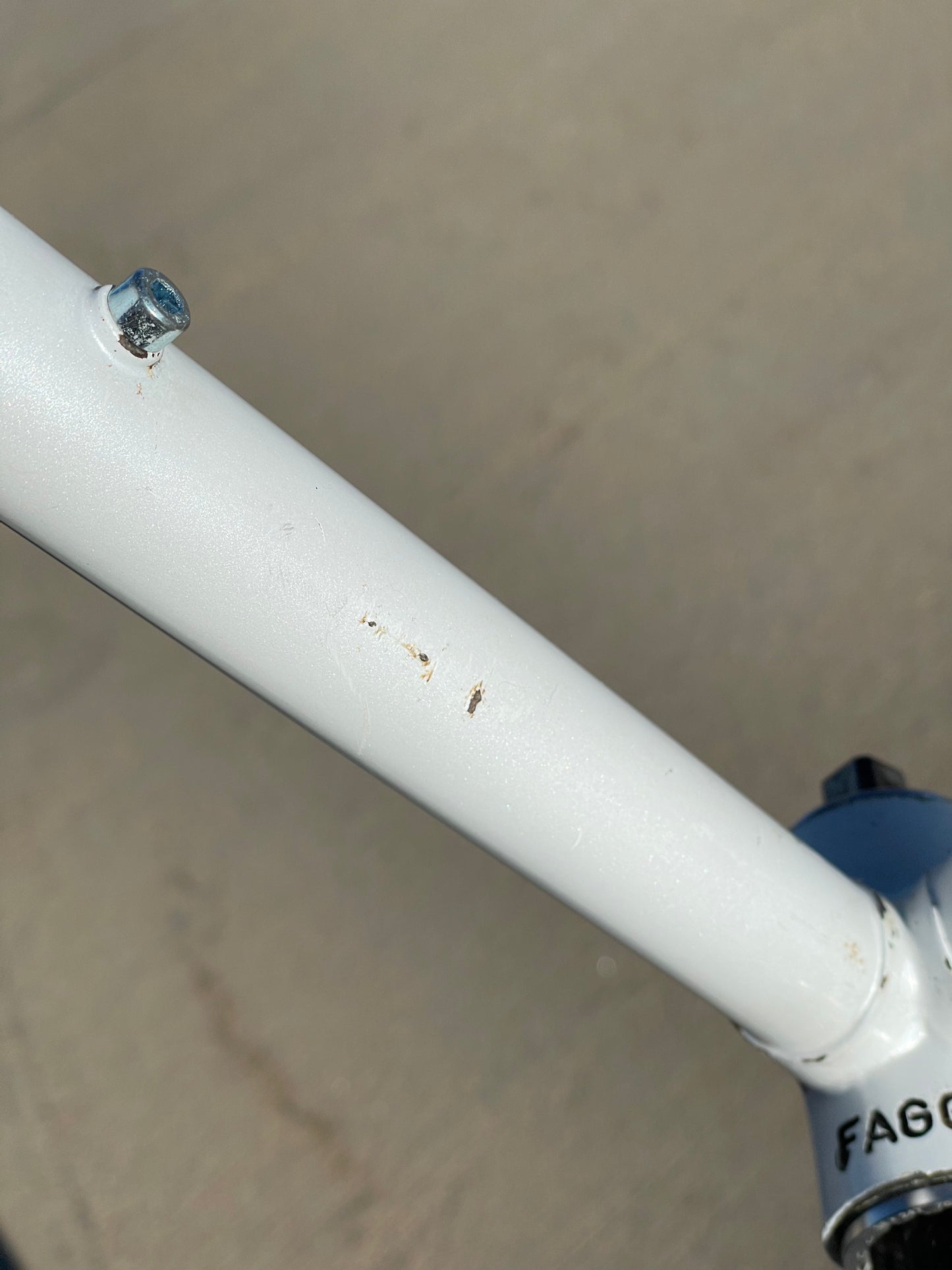 Faggin Campione del Mondo