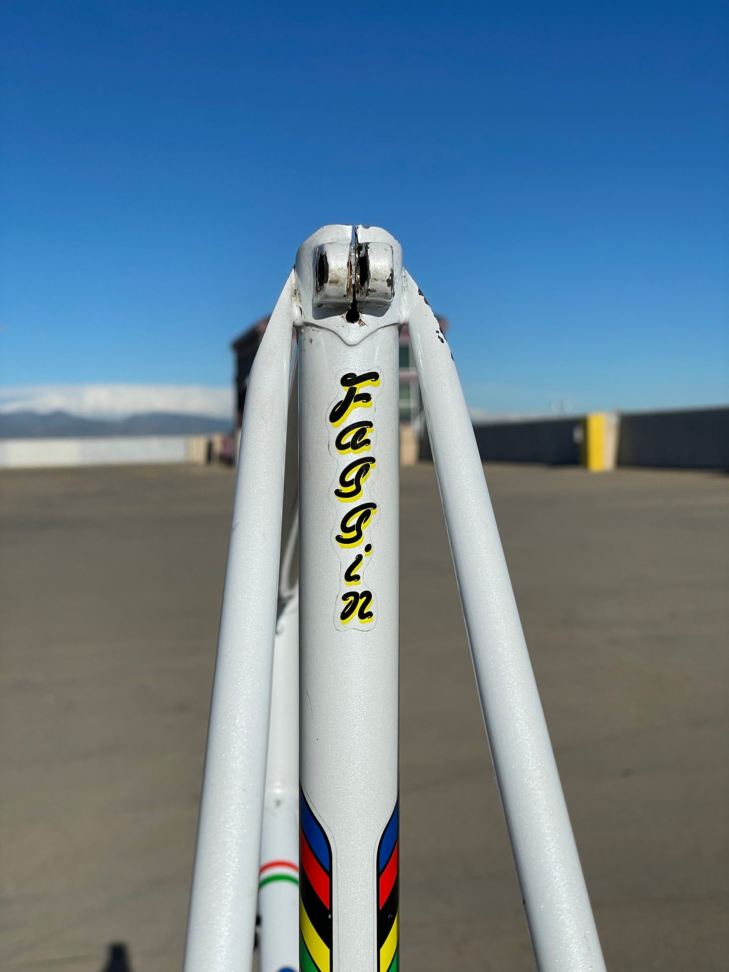 Faggin Campione del Mondo