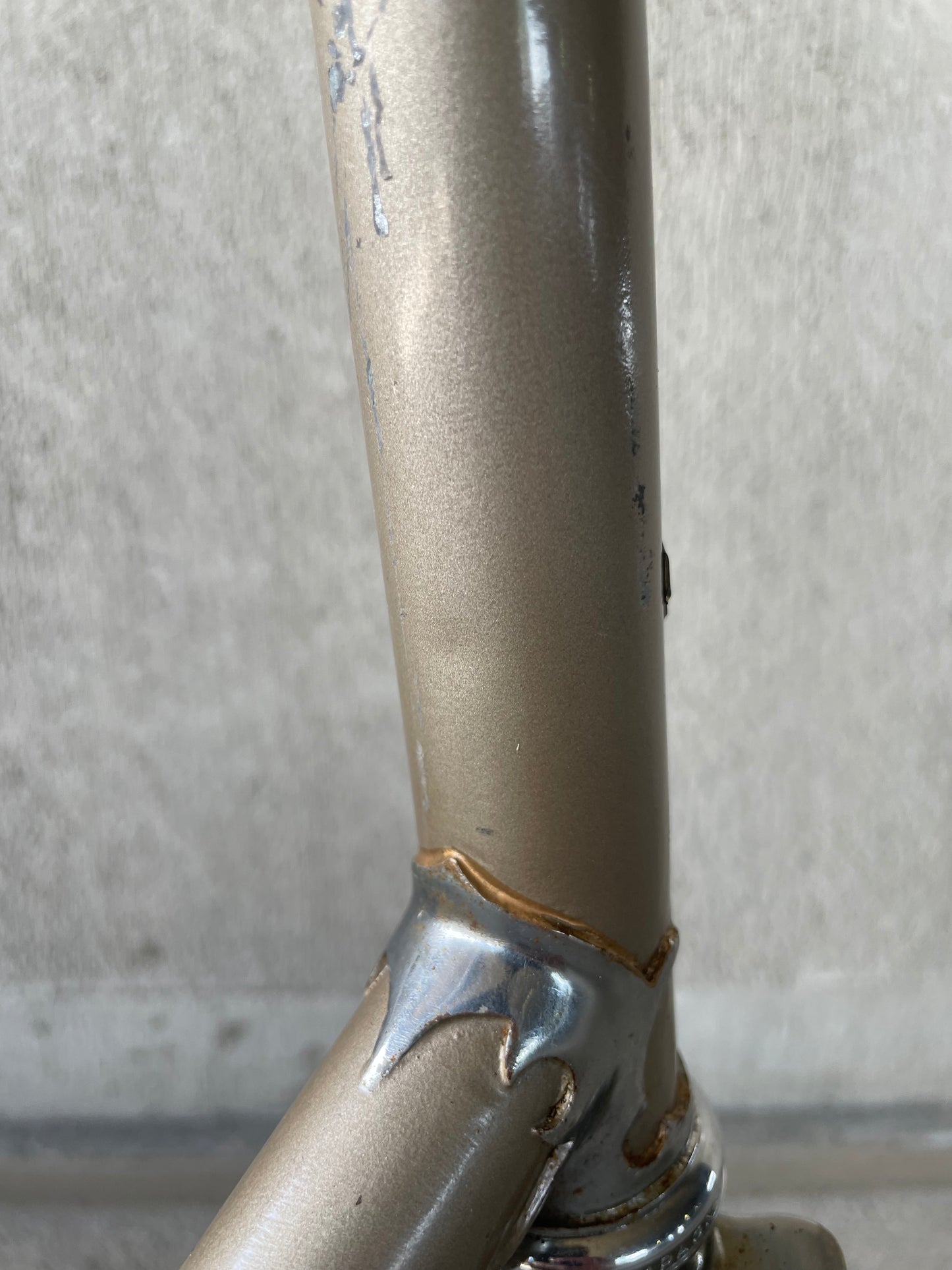 Raleigh International