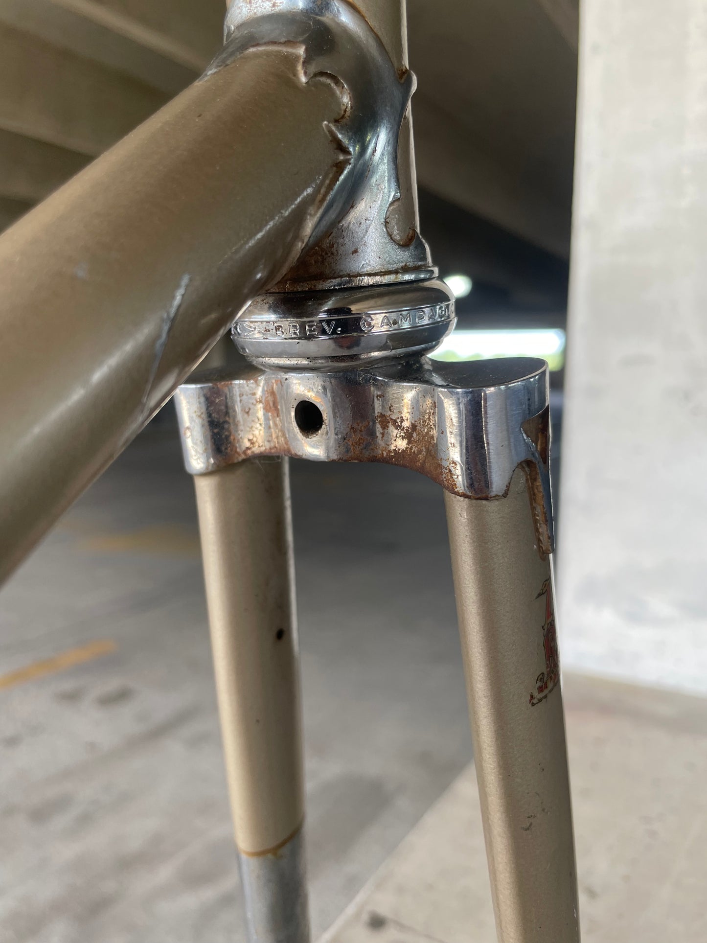 Raleigh International