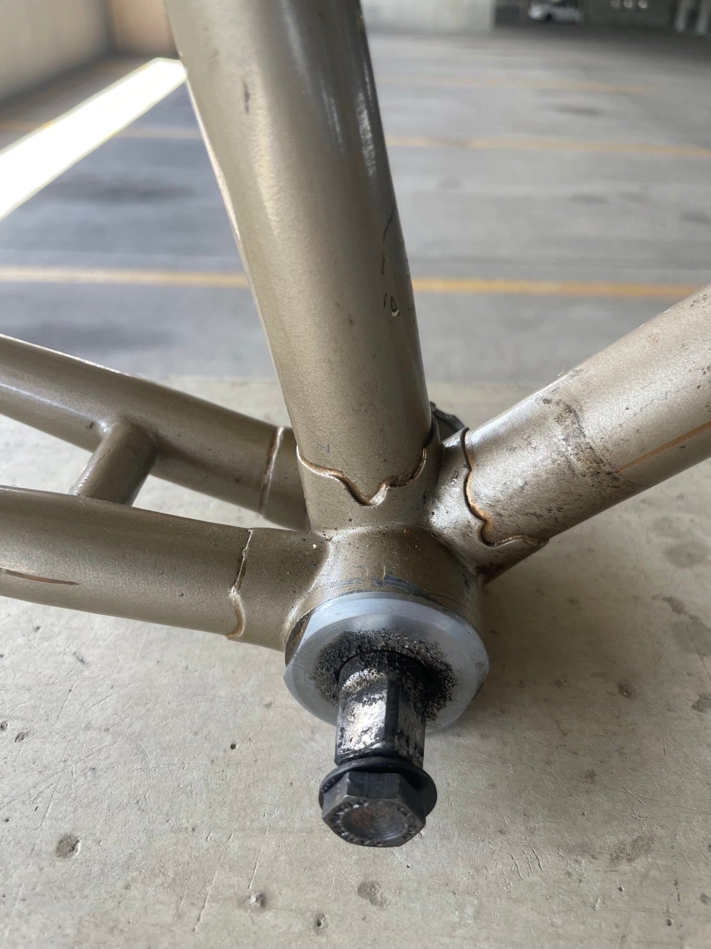 Raleigh International