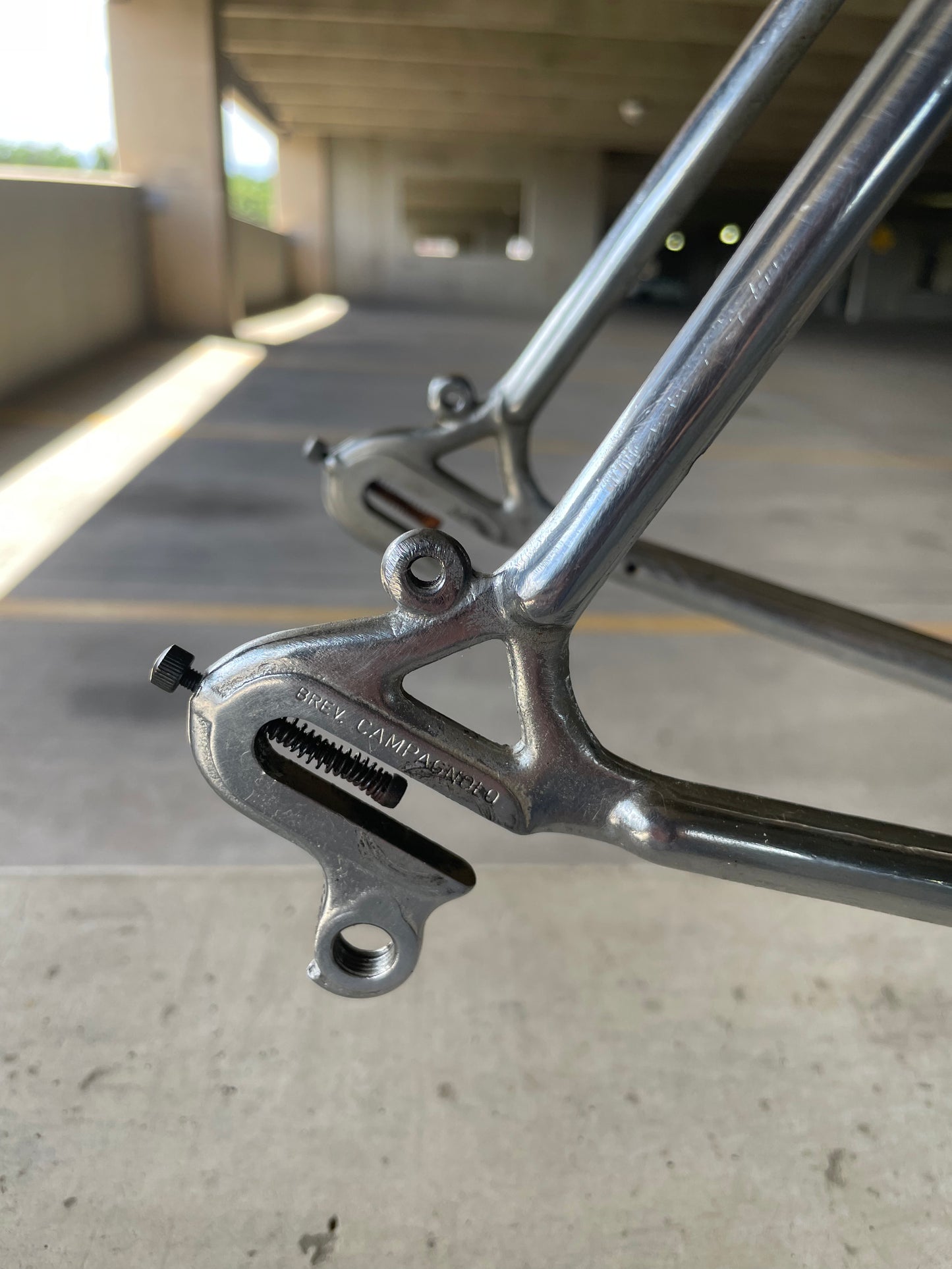 Raleigh International