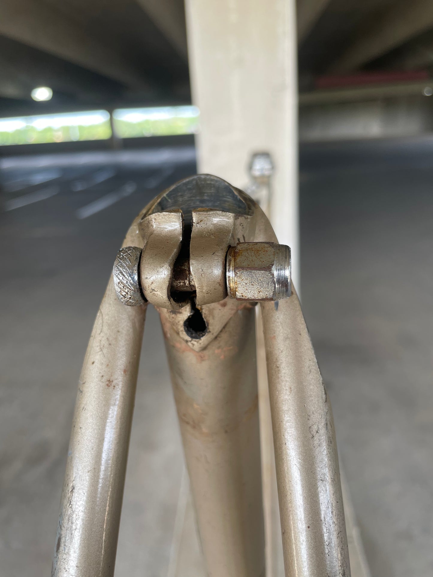 Raleigh International