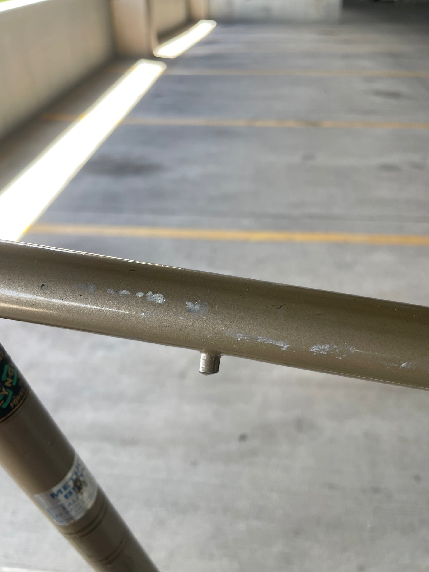 Raleigh International