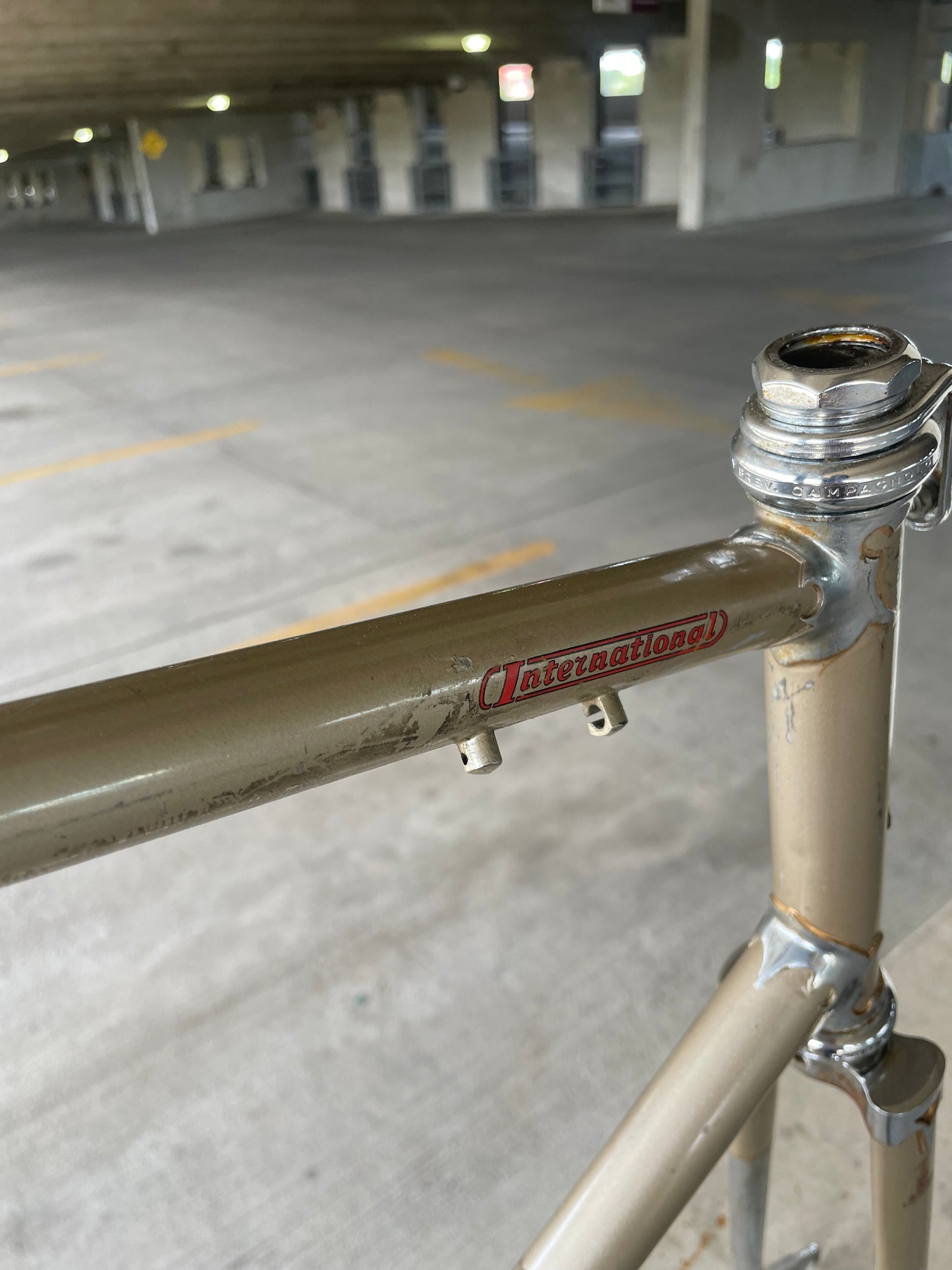 Raleigh International