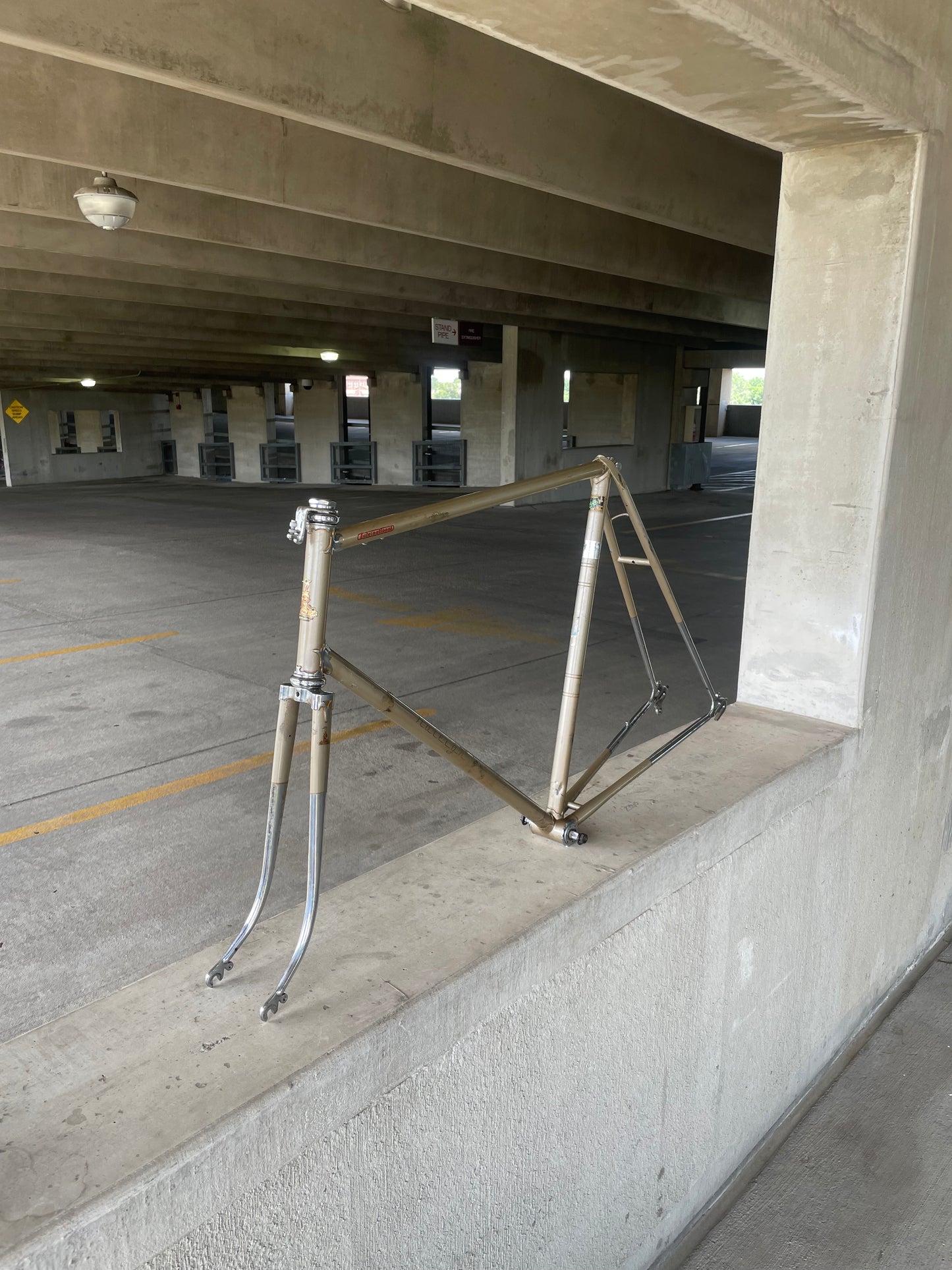 Raleigh International