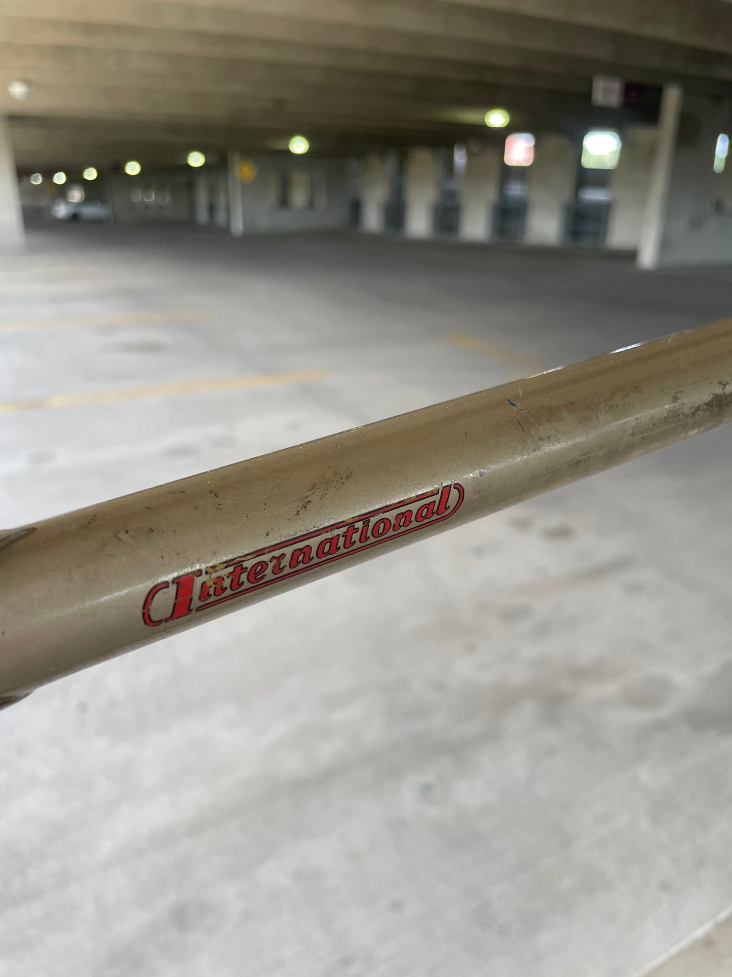 Raleigh International