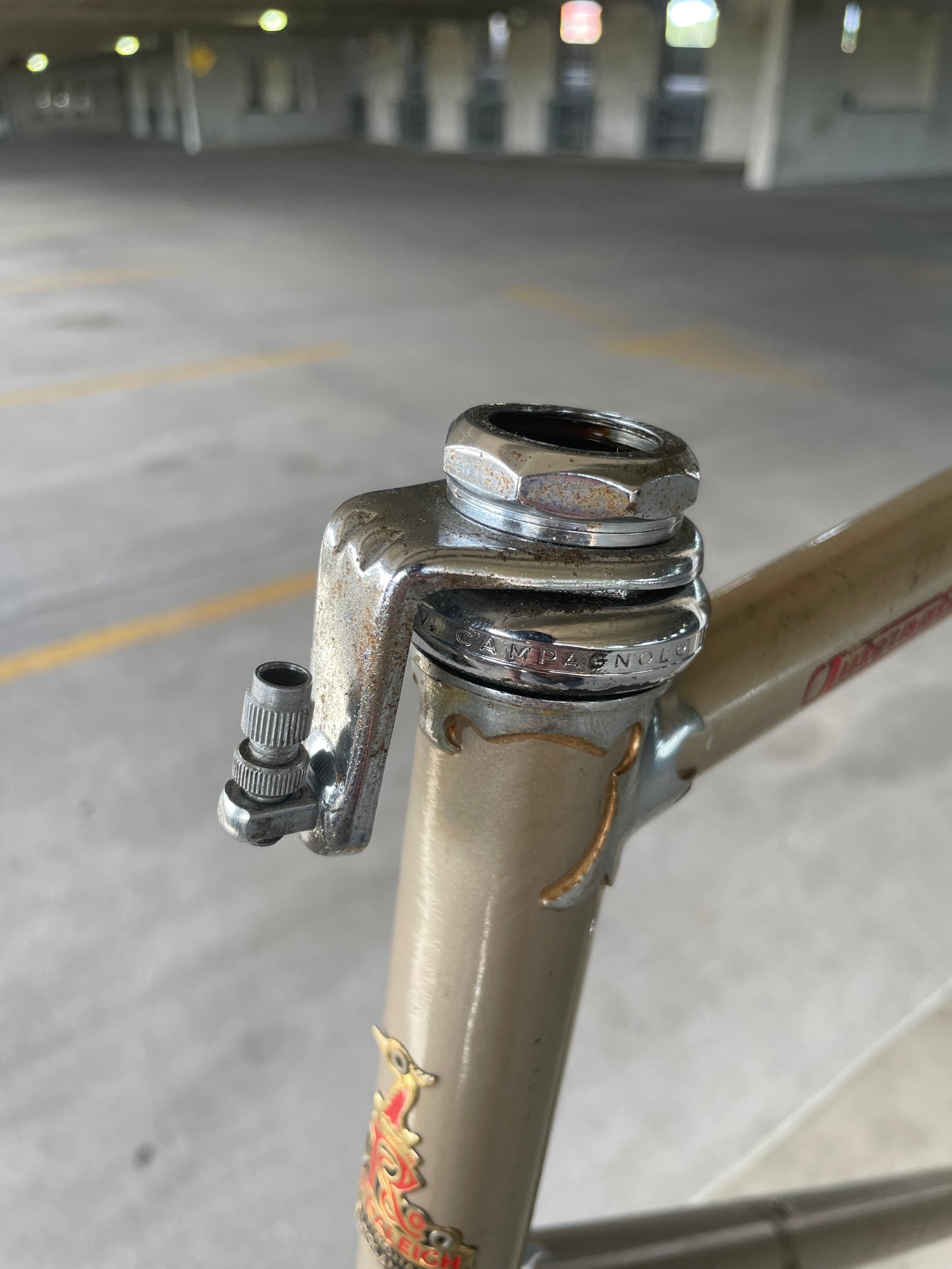 Raleigh International