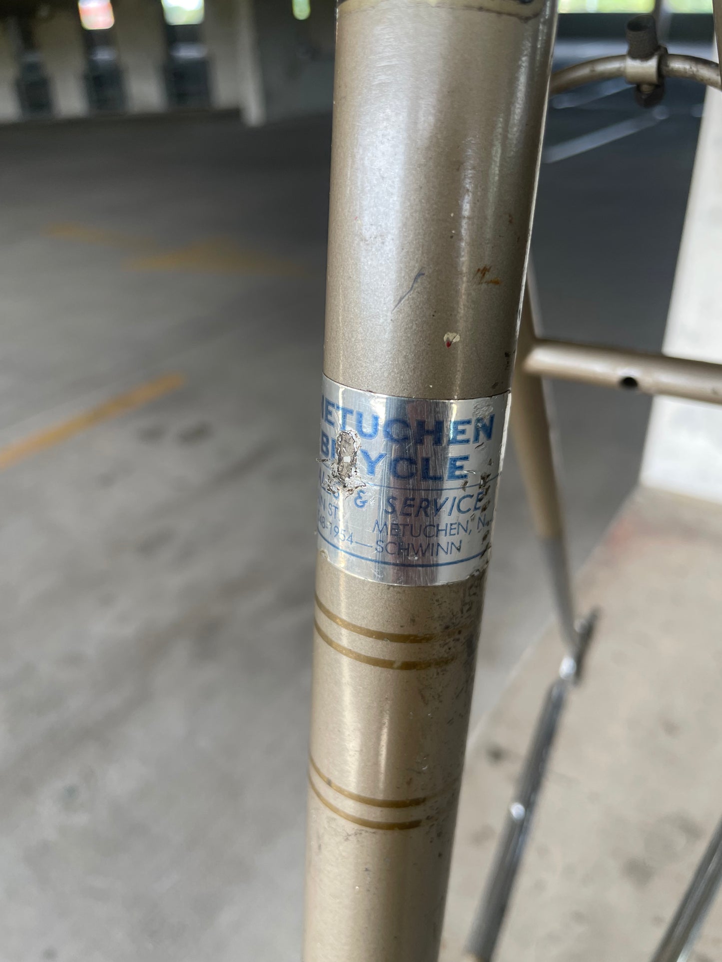 Raleigh International