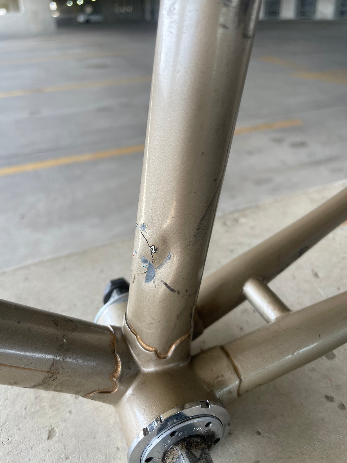 Raleigh International