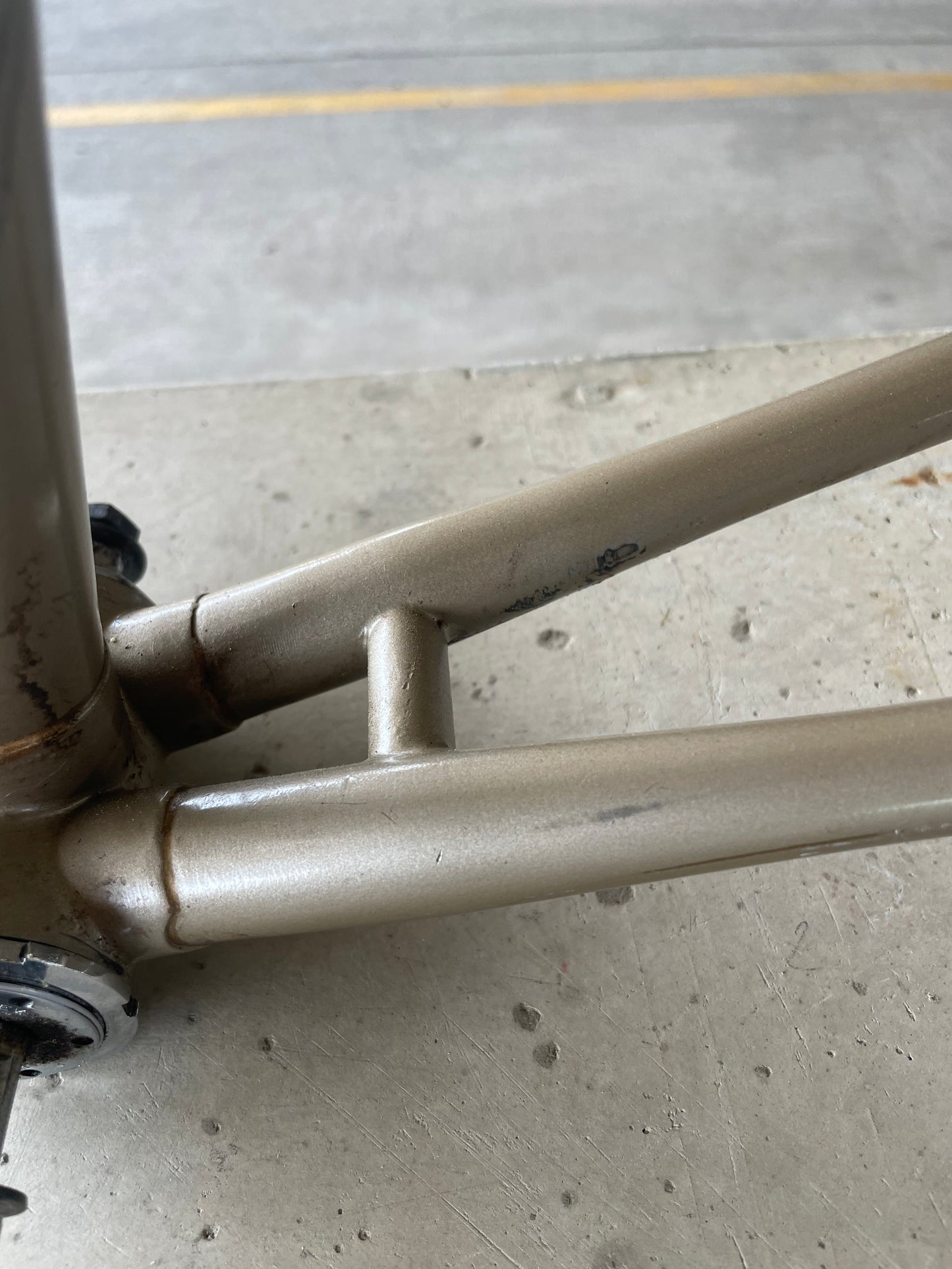 Raleigh International