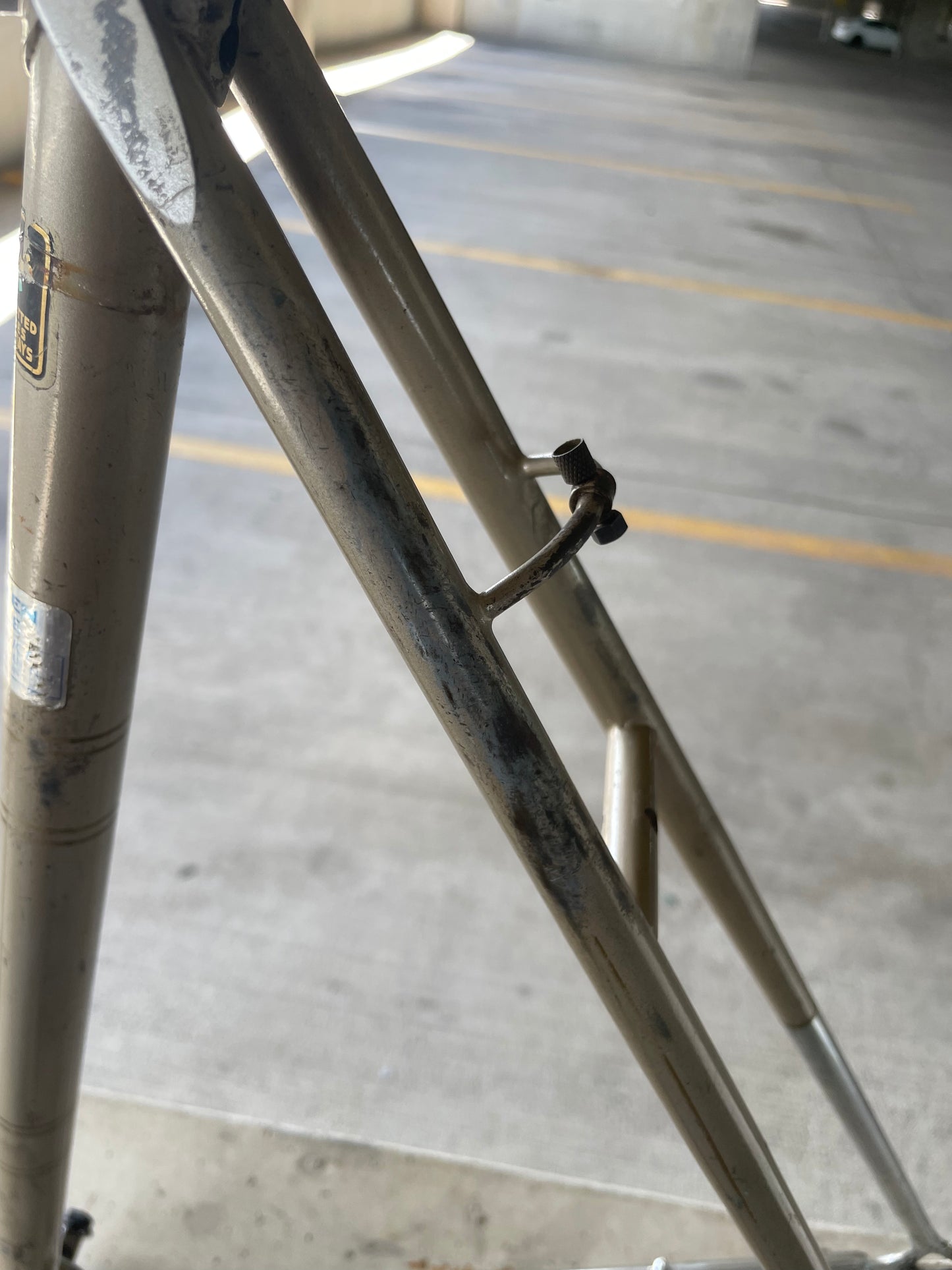 Raleigh International