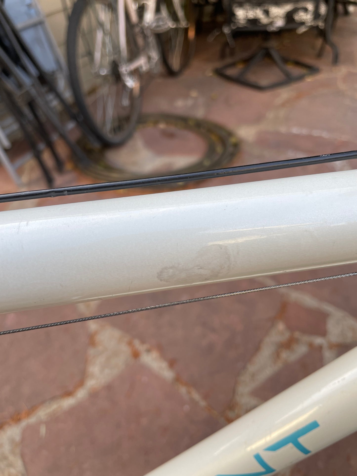 Schwinn Paramount MOS Series 20