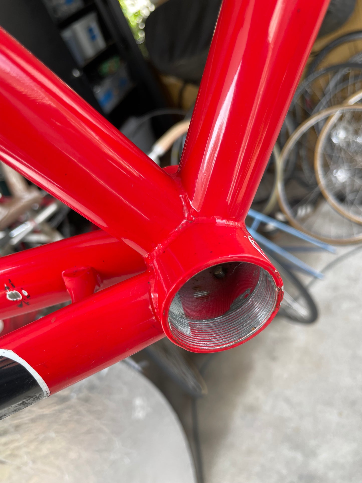 Pinarello Concept