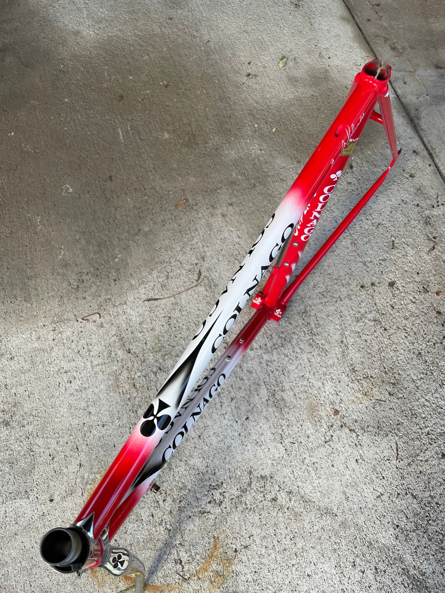 Colnago Master