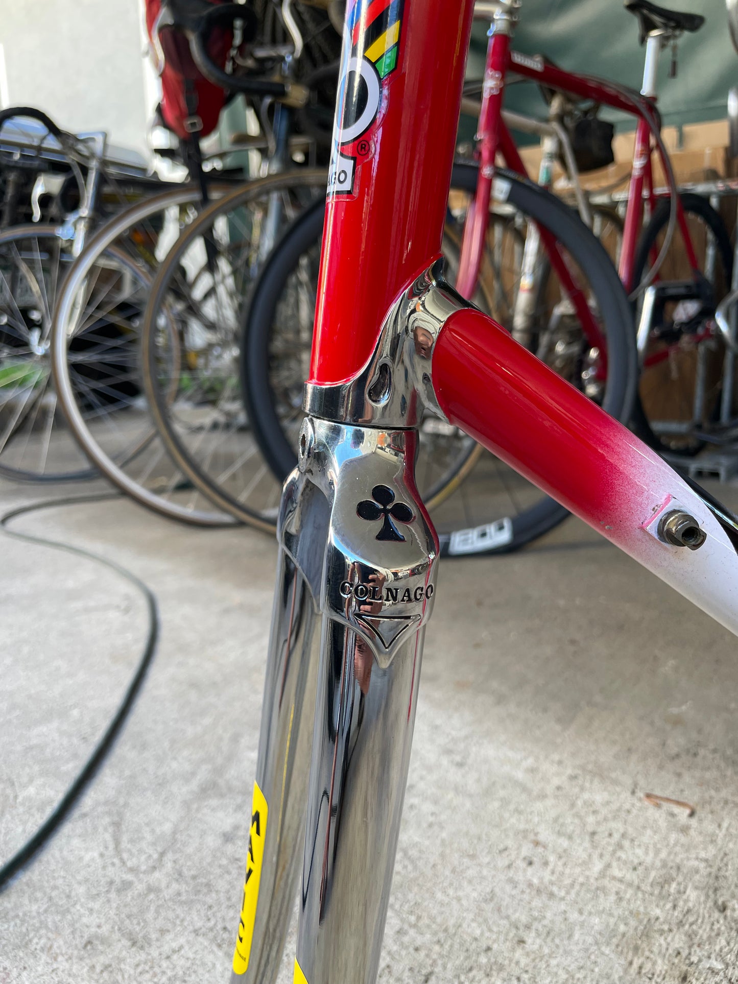 Colnago Master